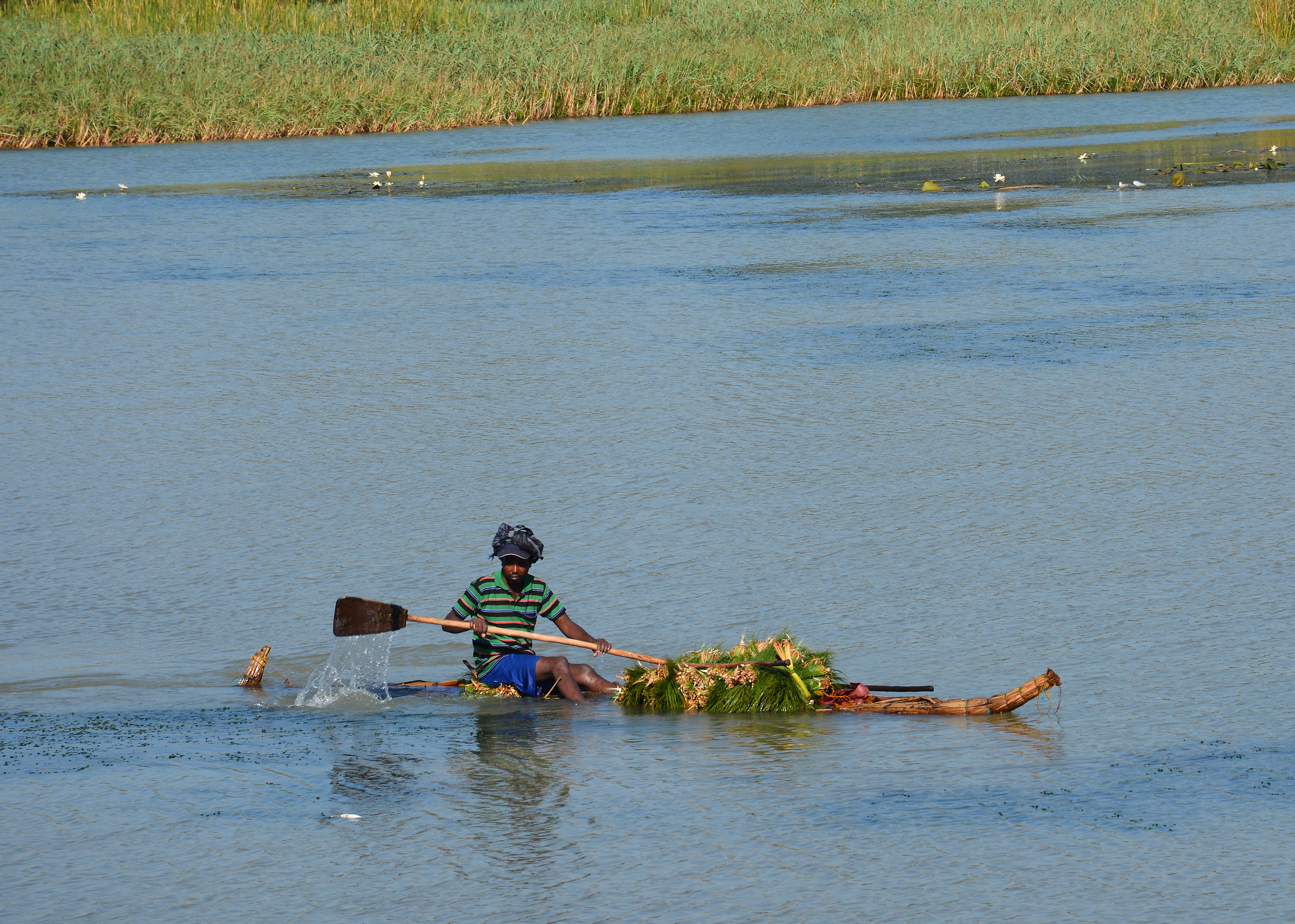 Trasporto sul Tana Lake