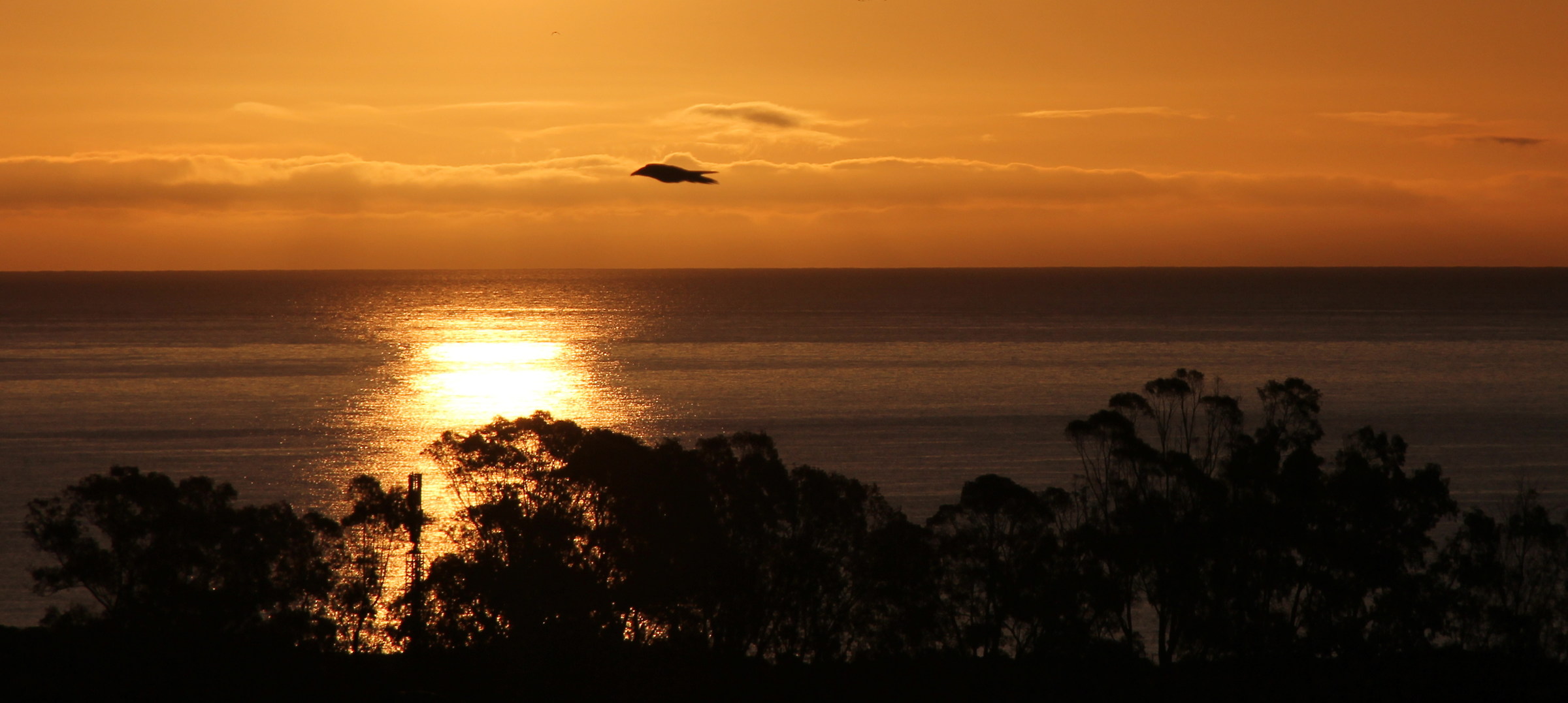 Una luce dorata illumina il mare grigio