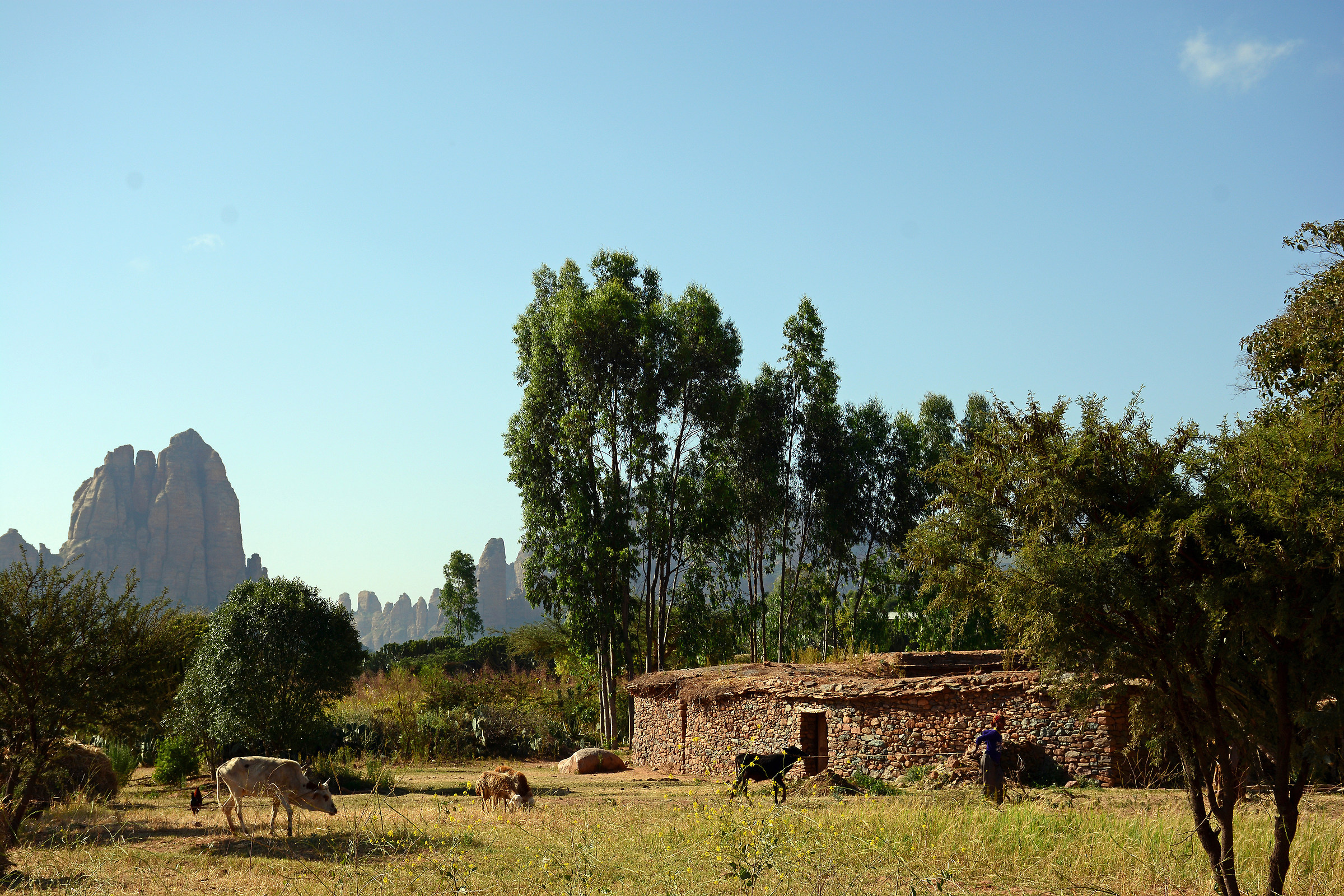 Vita nell'Amba Gheralta . Etiopia