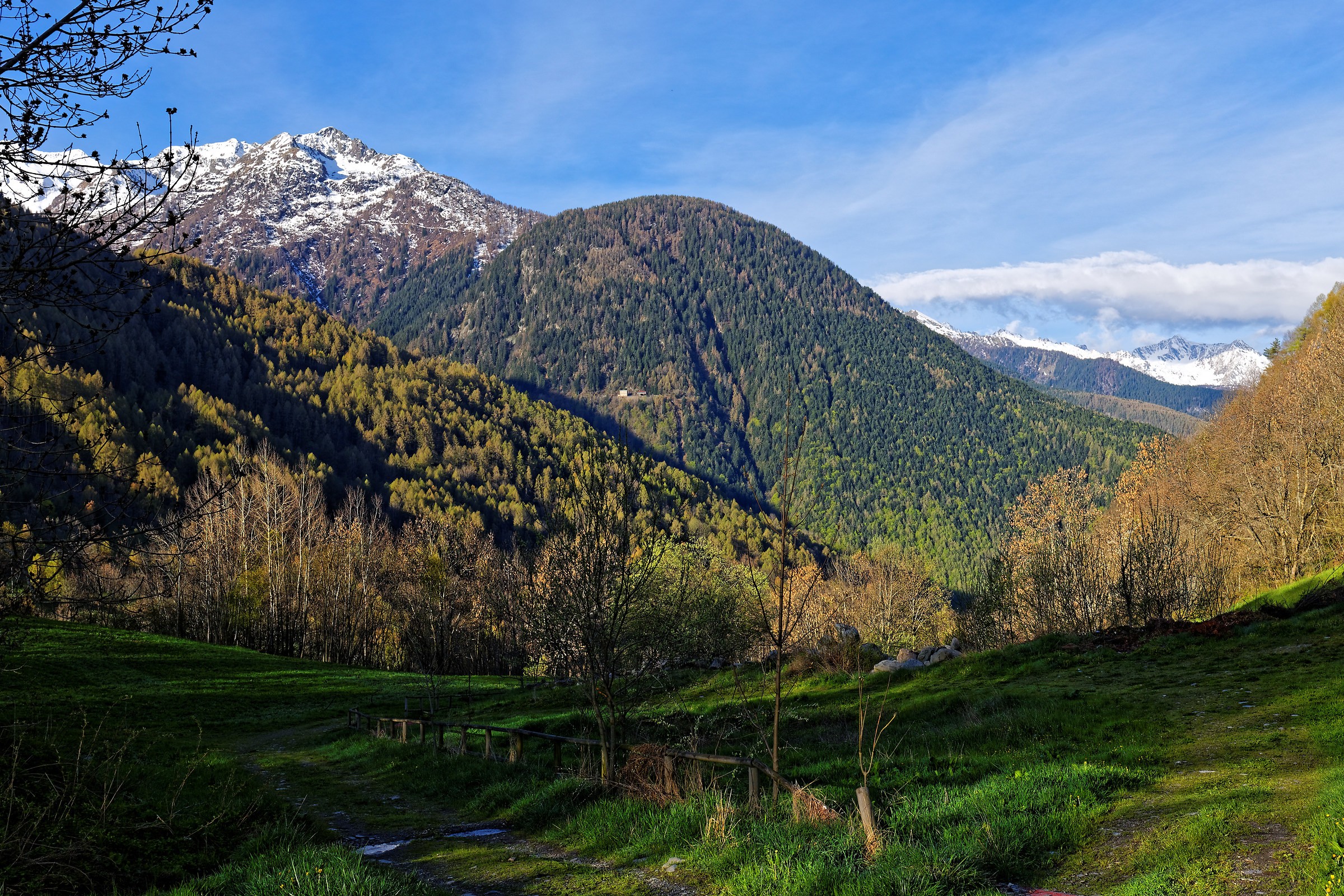 Valtellina spring