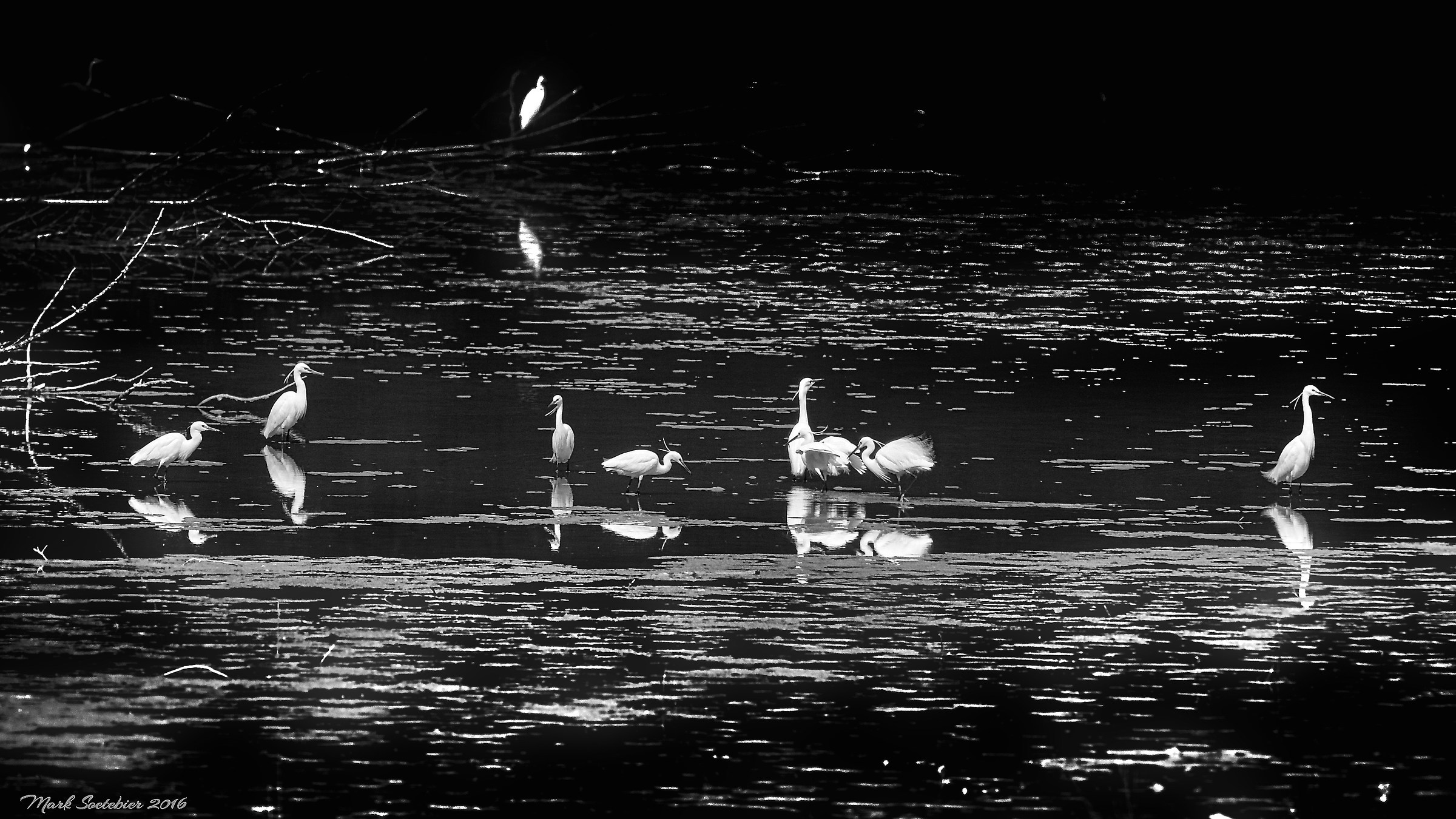 Gran teatro la Bandella