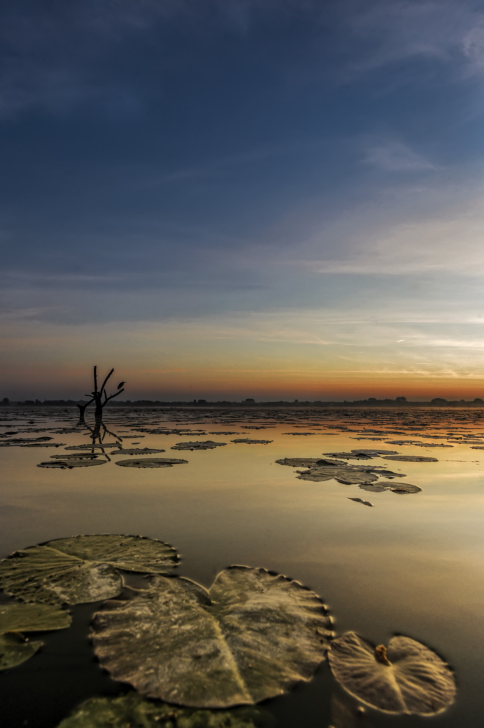 Dawn in Argenta valleys (fe)