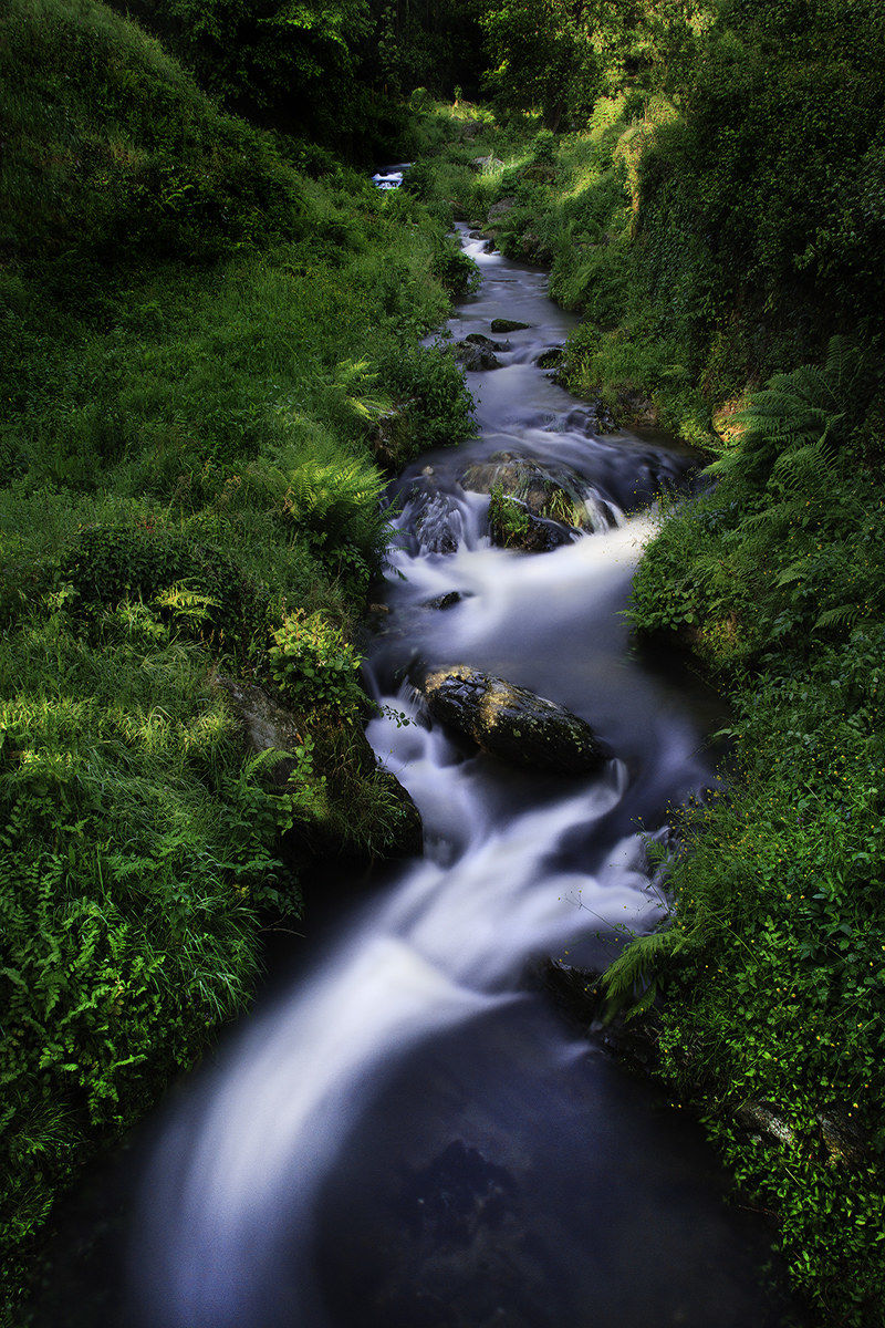 ... Rio Visona ...- Capannori (lu) -