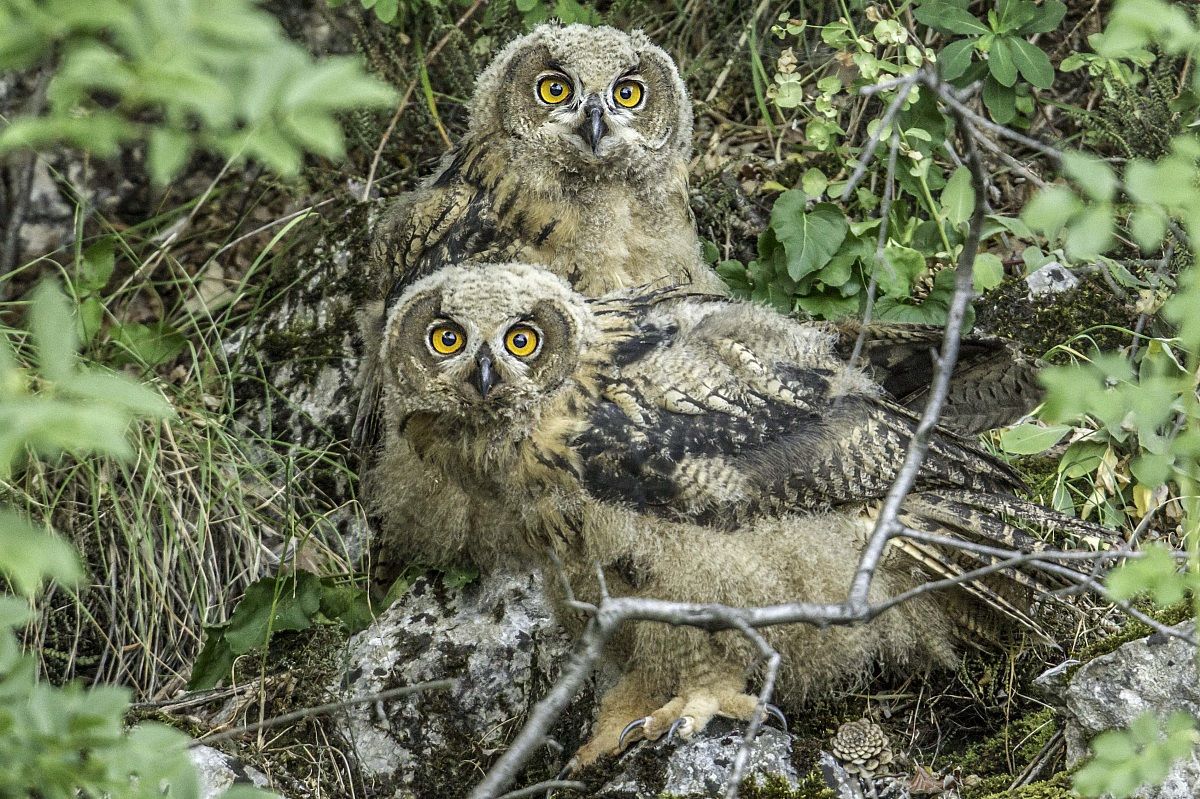 verso punti più alti.......