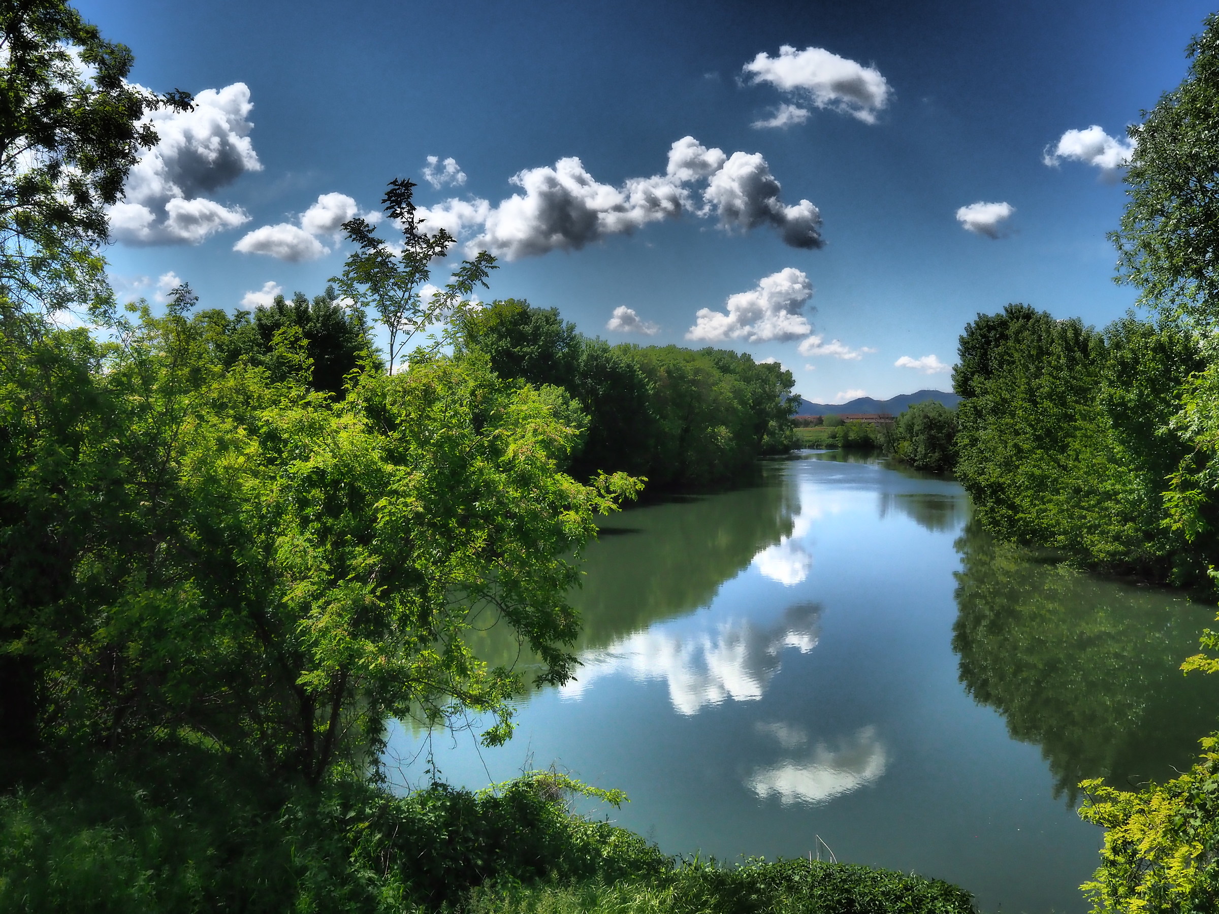 Argine del Bacchiglione