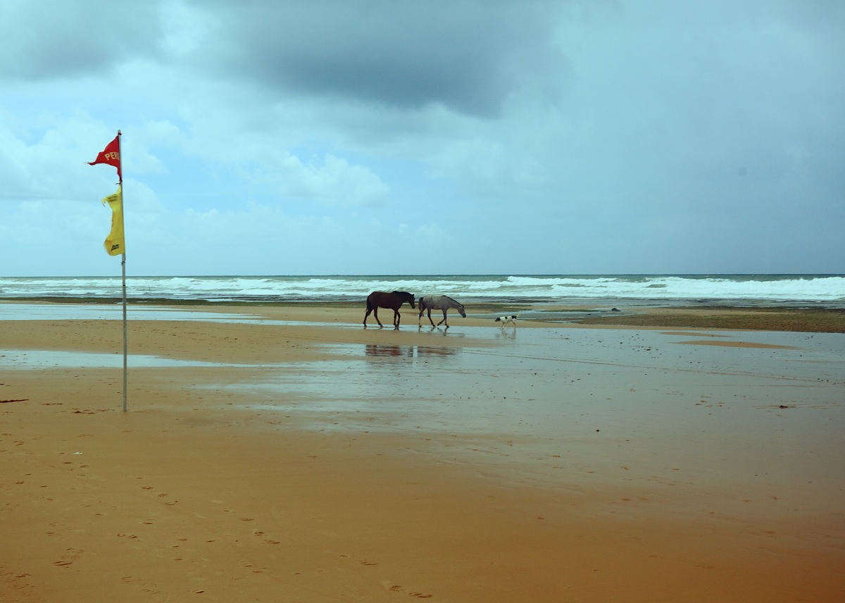 Praia do Flamengo (Brazil)