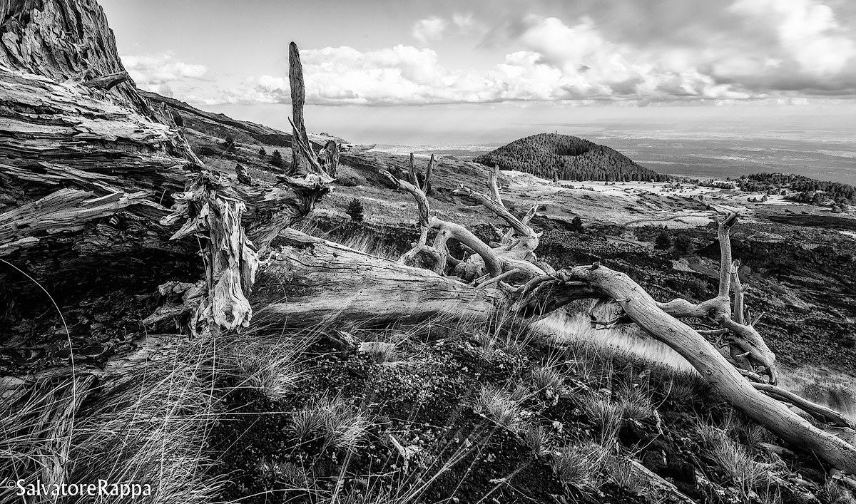 Monte Nero Zappini BN