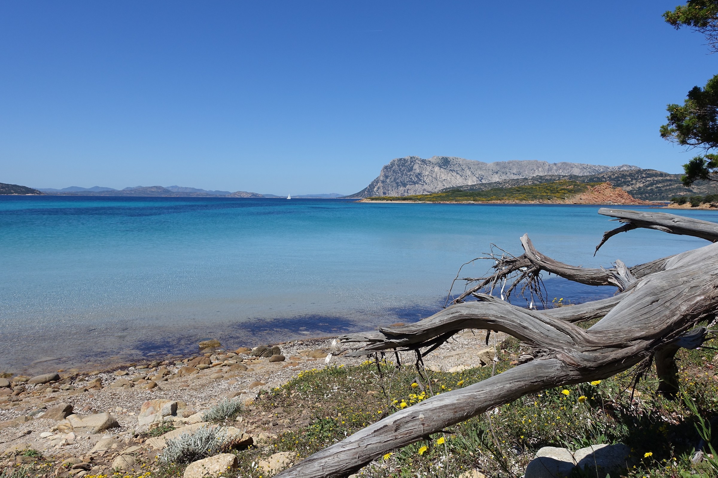 Coda Cavallo in aprile 2