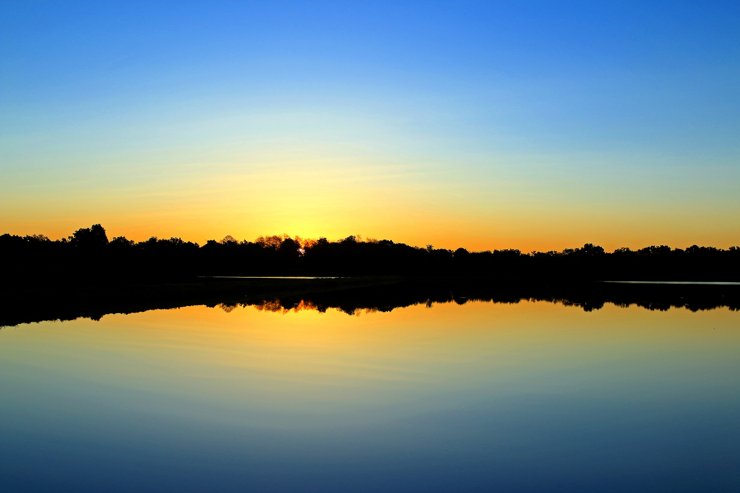 sunrise and rice fields