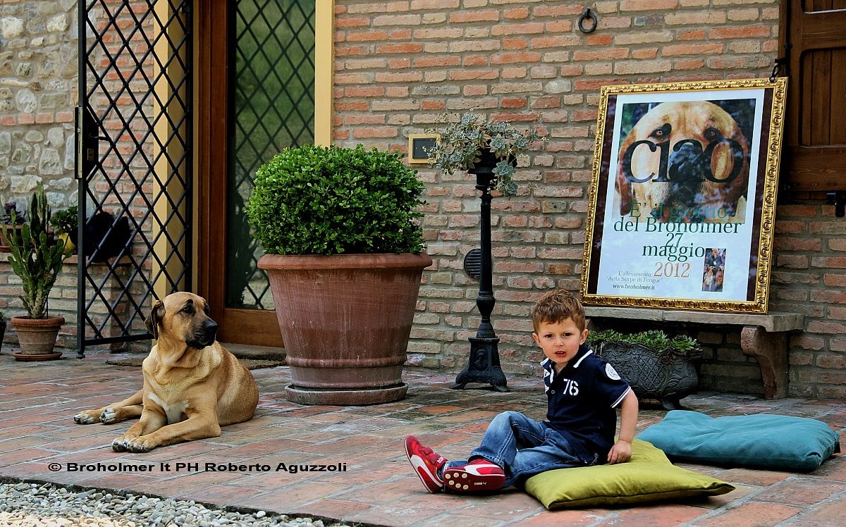 II Meeting Broholmer Italy 2012