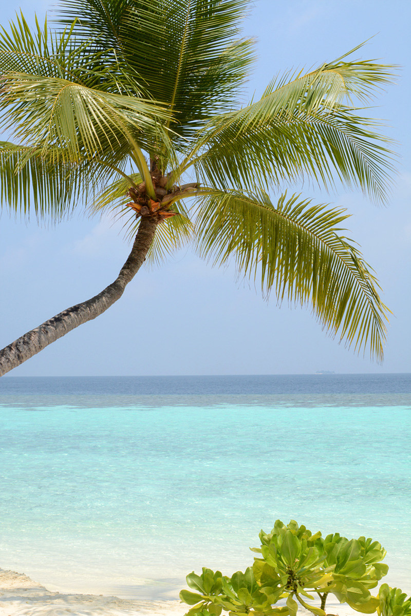 Maldive 2015