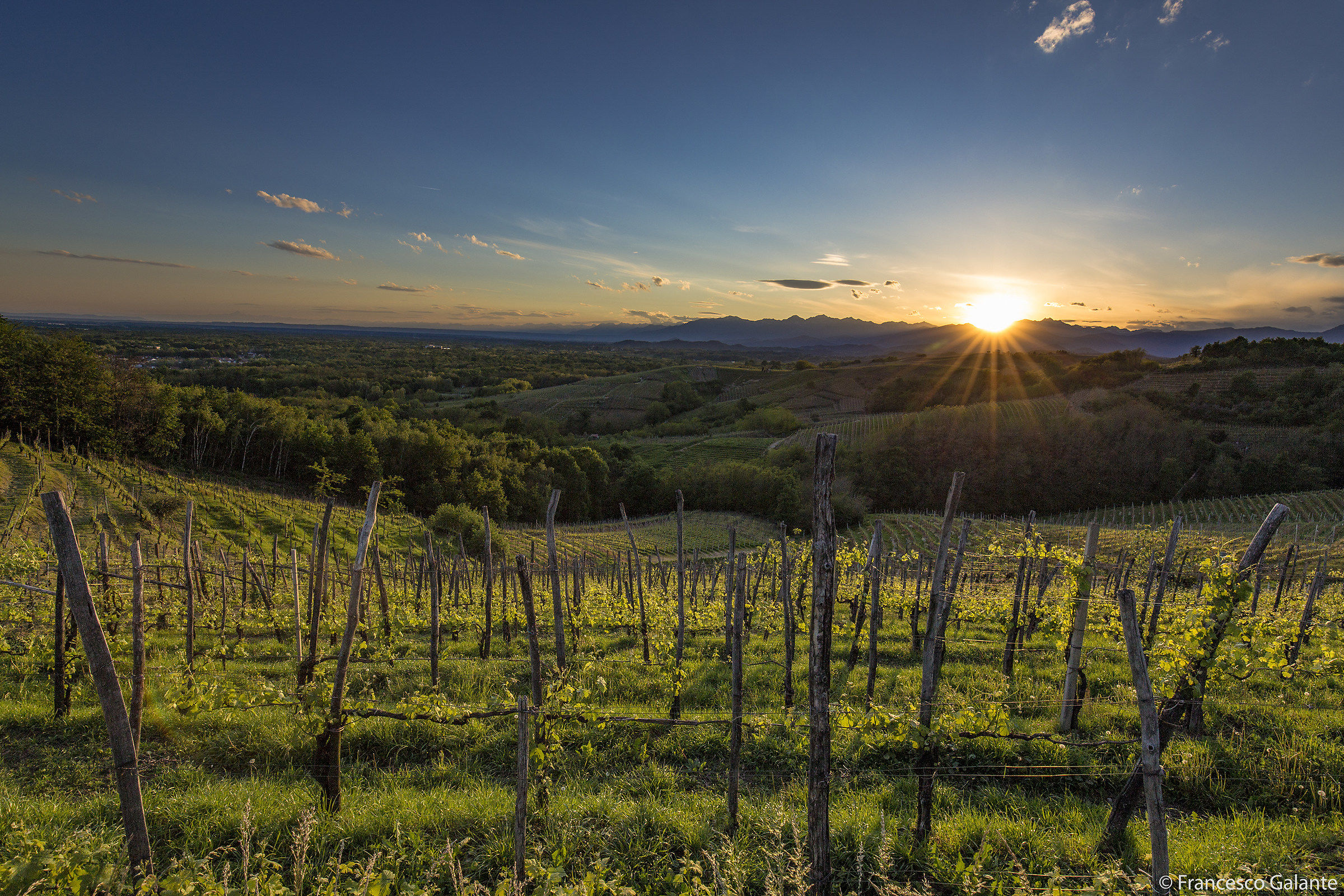I Vigneti di Gattinara