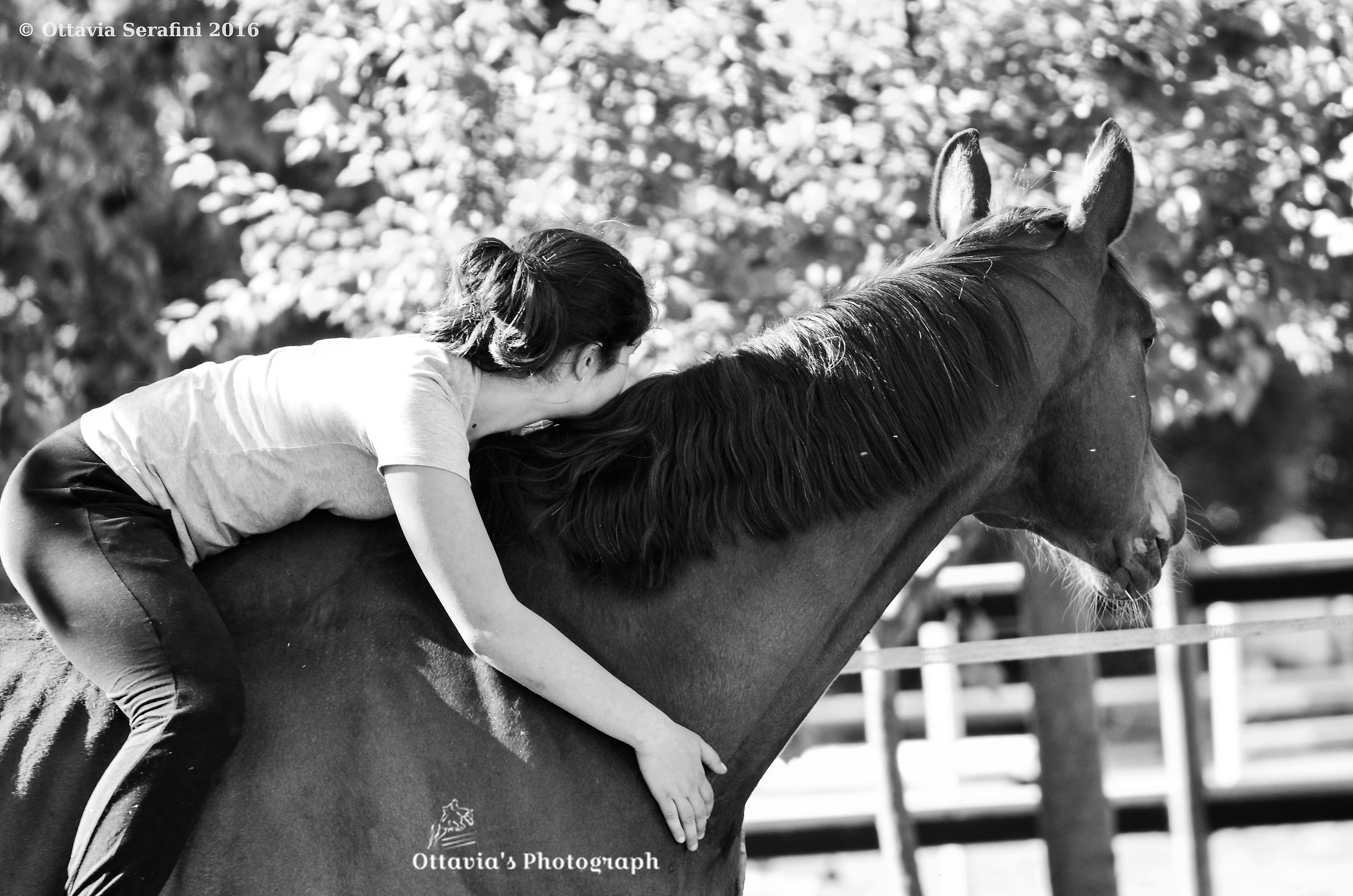 "The trust looks in the same direction ..."