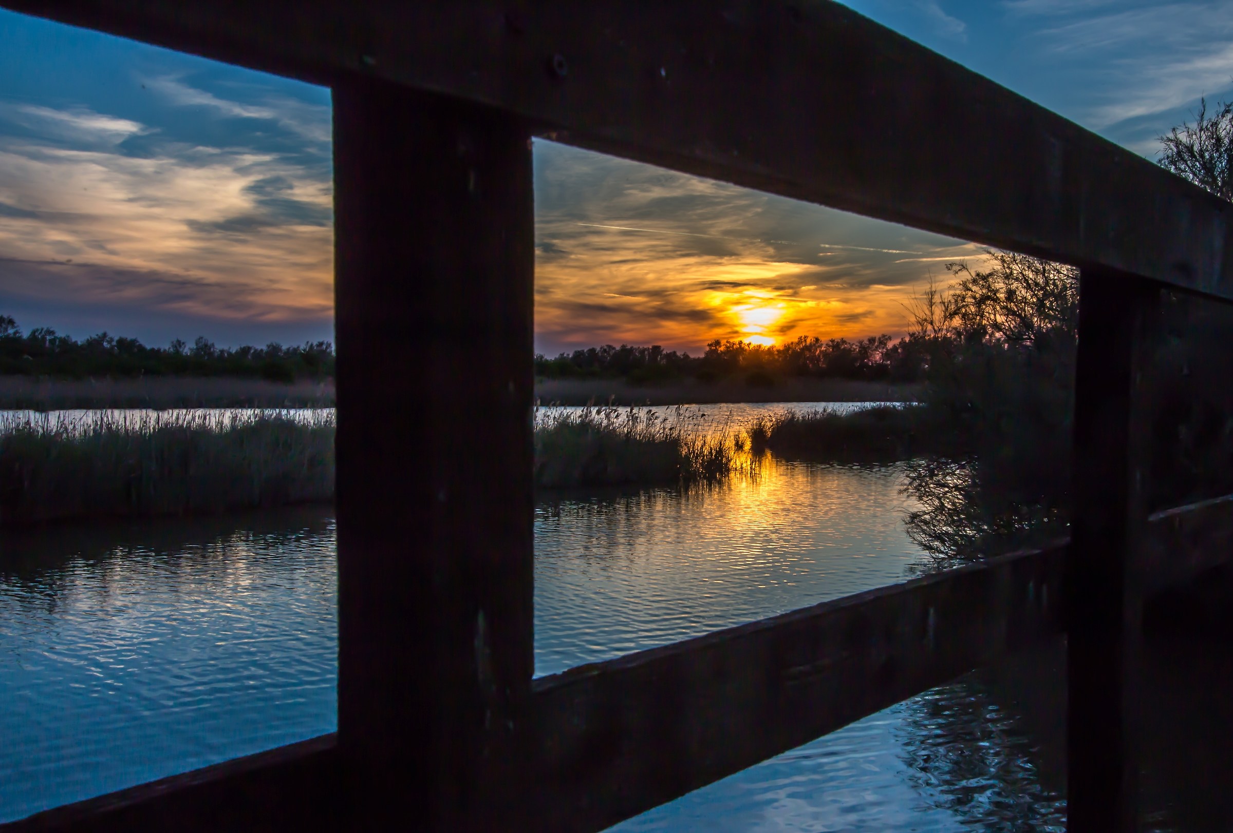 palettes by a sunset