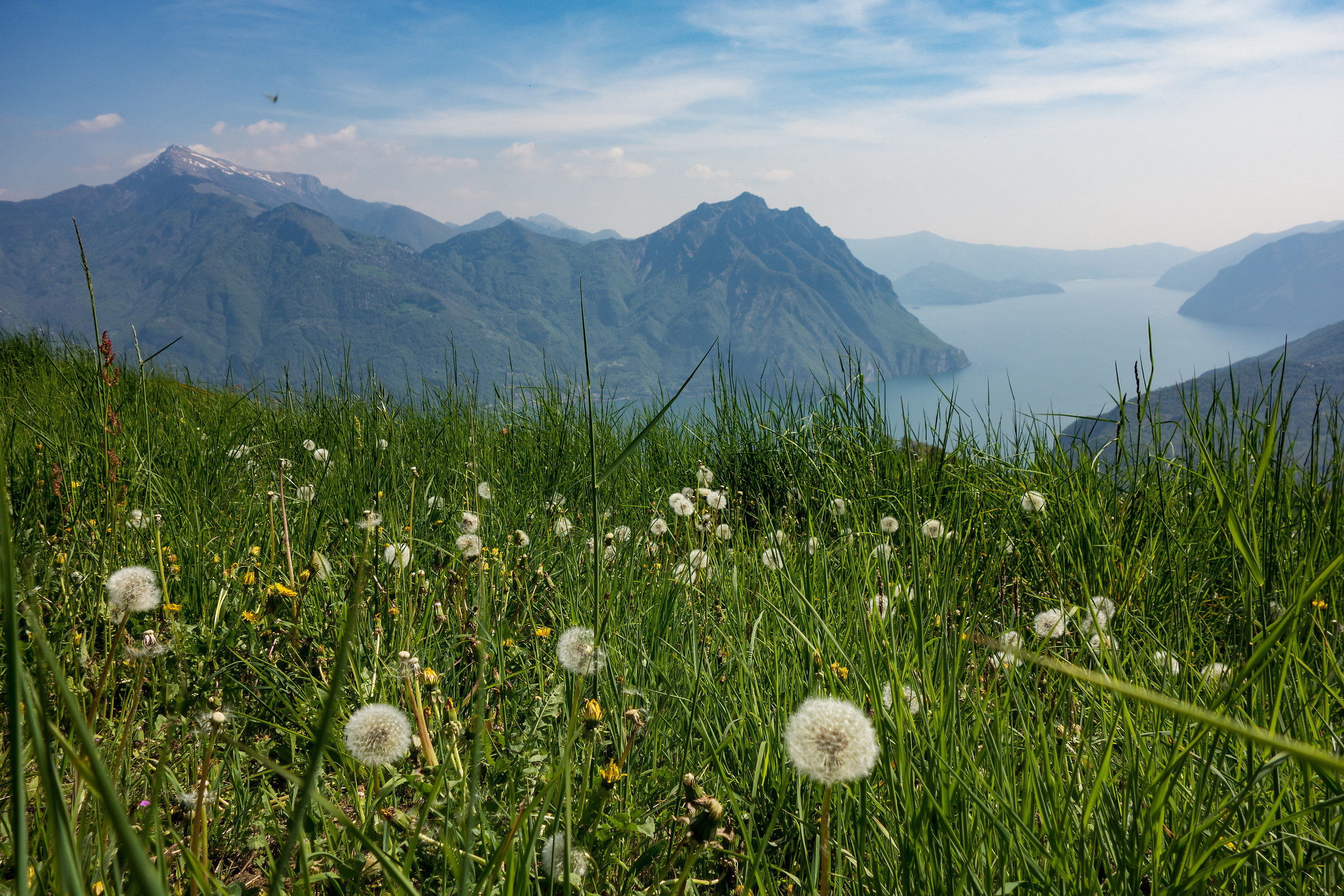 Soffi sul lago di Iseo
