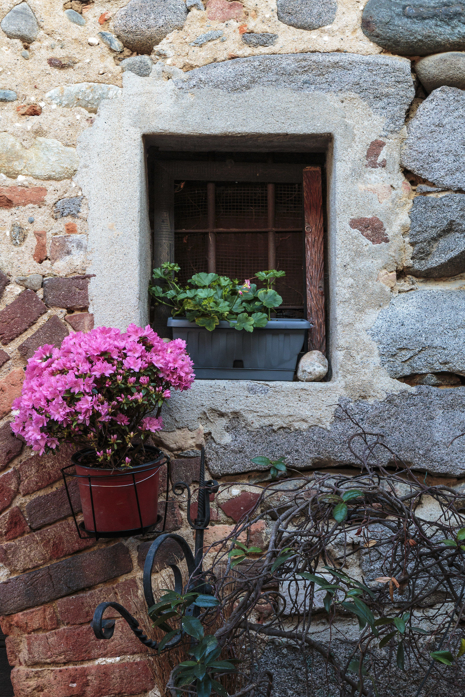 flowered window - Ricetto.
