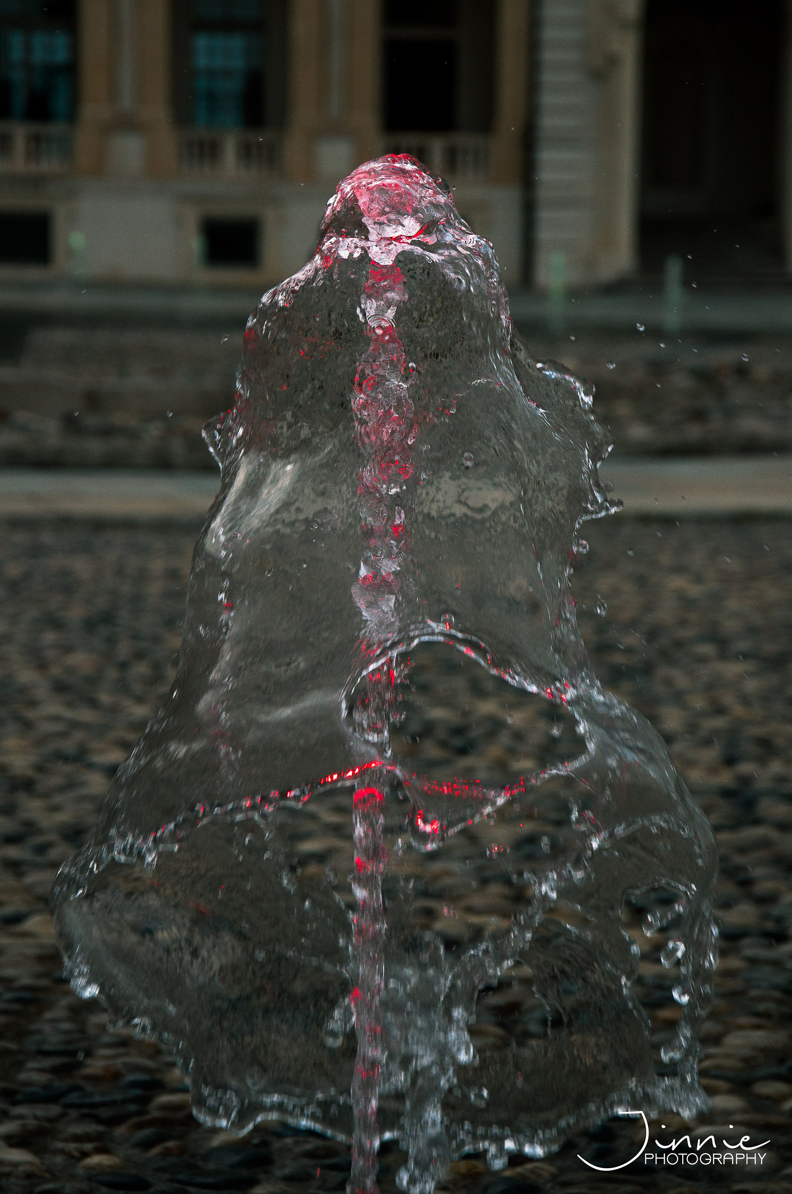 The cobra is a snake