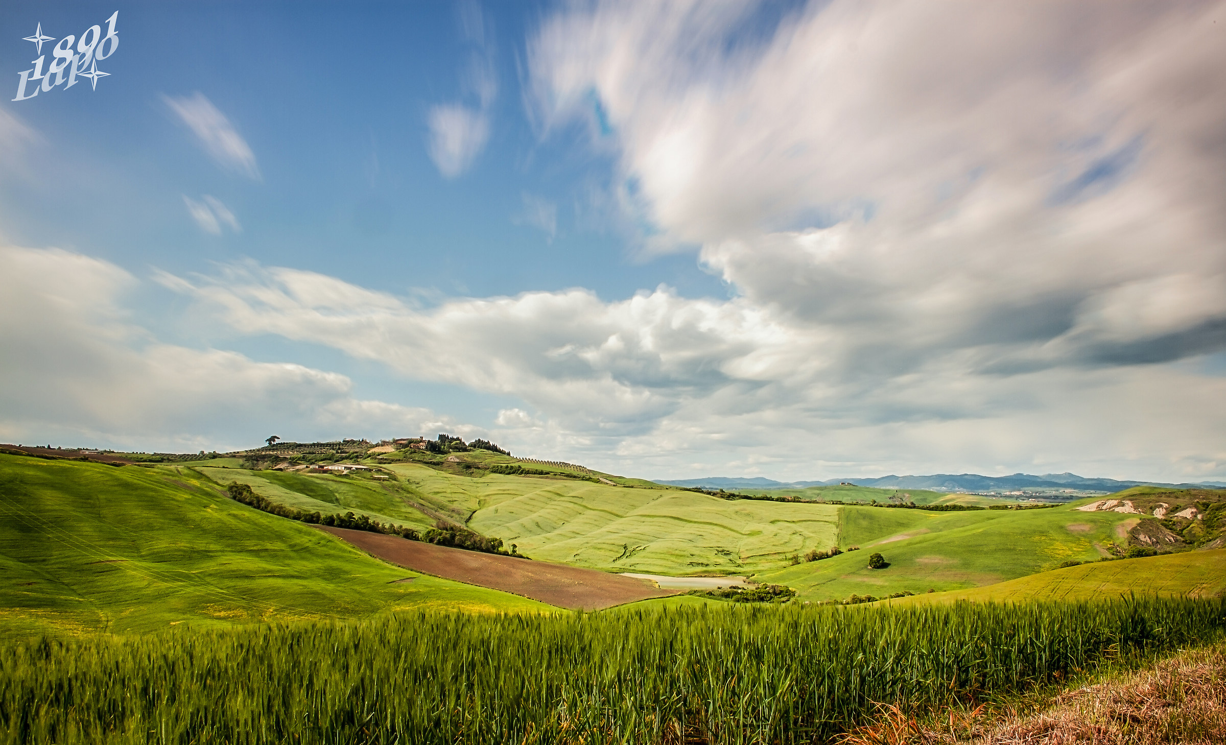 Colline senesi