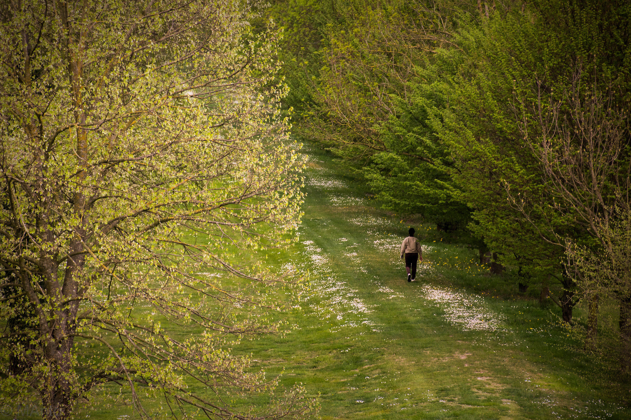 Passeggiata in campagna