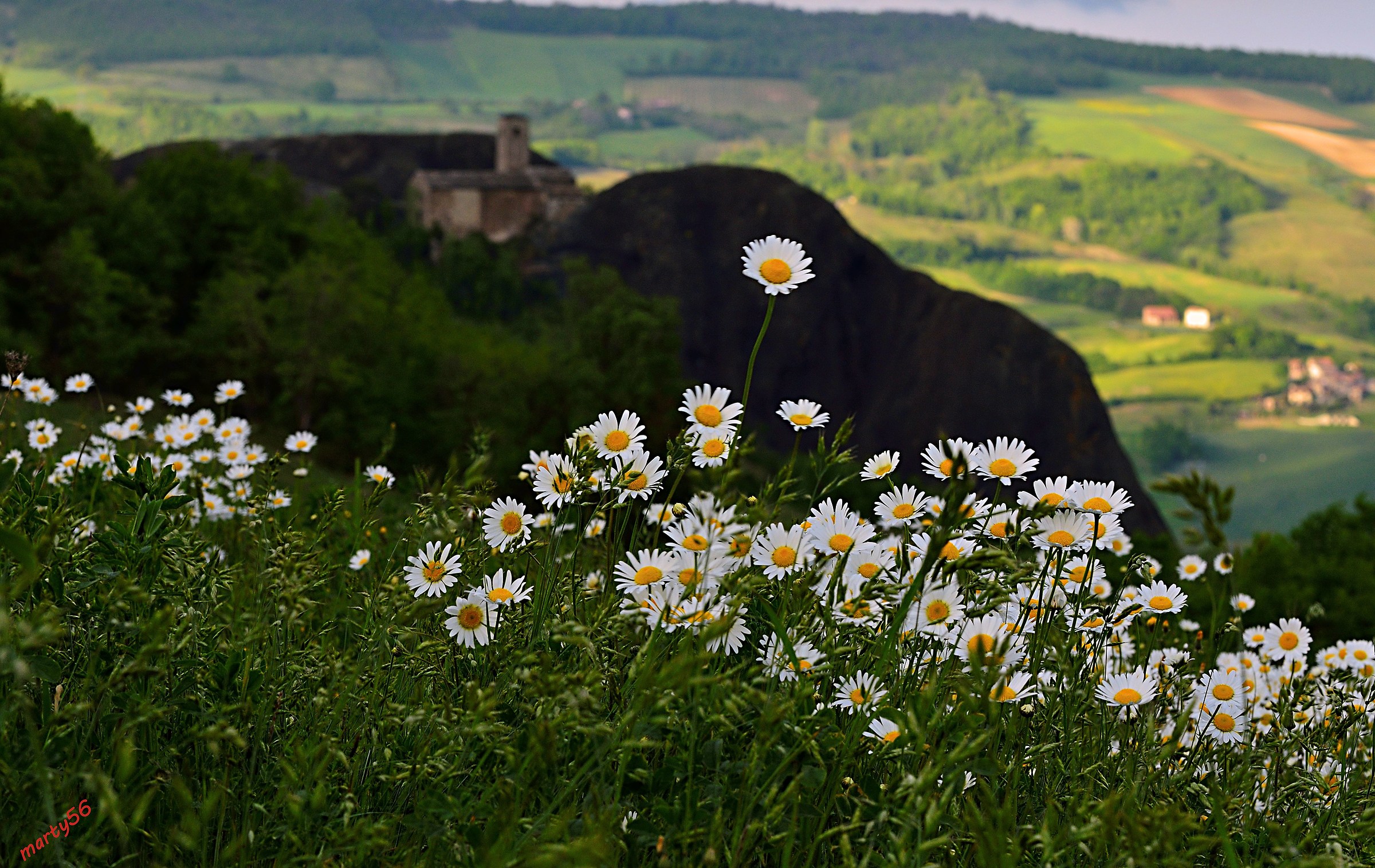 primavera in appennino (pietra perduca)