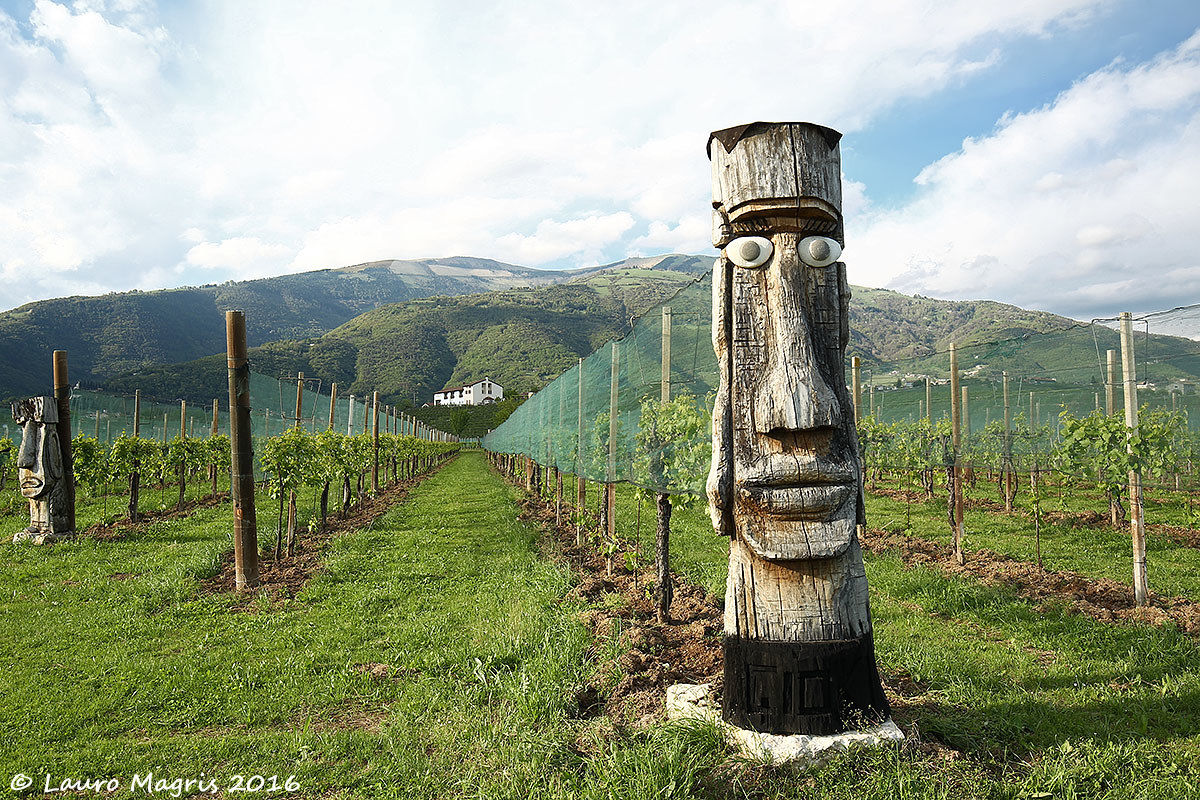 Cioki, il guardiano del vigneto