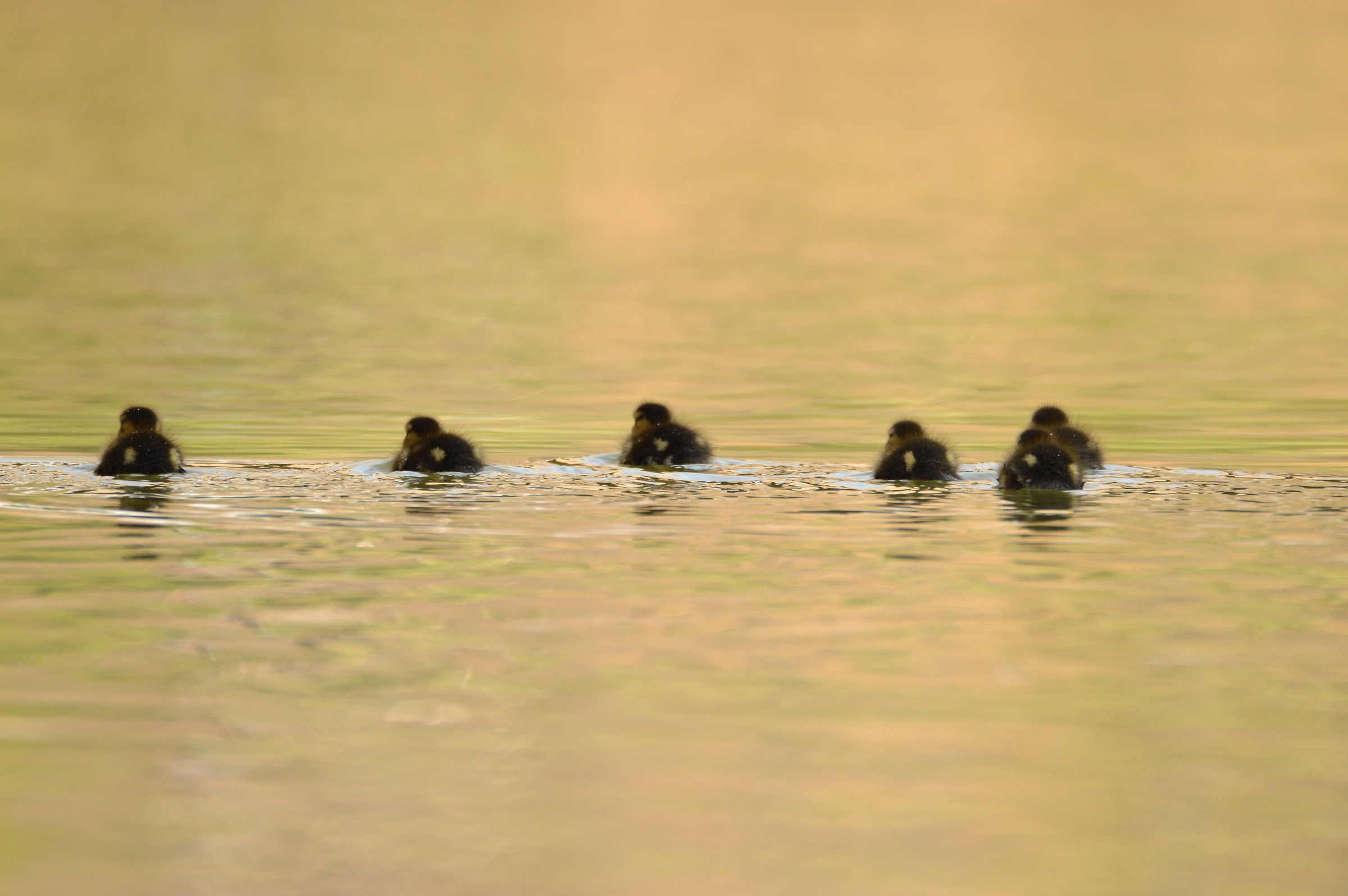 Verso un nuovo mondo