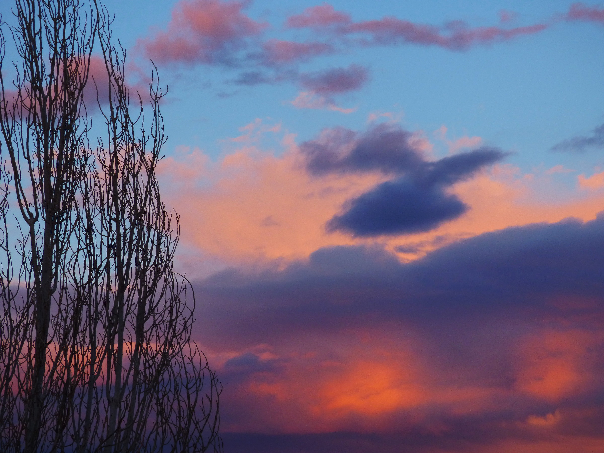 Colore del cielo nella parte orientale, durante il tempo di ...