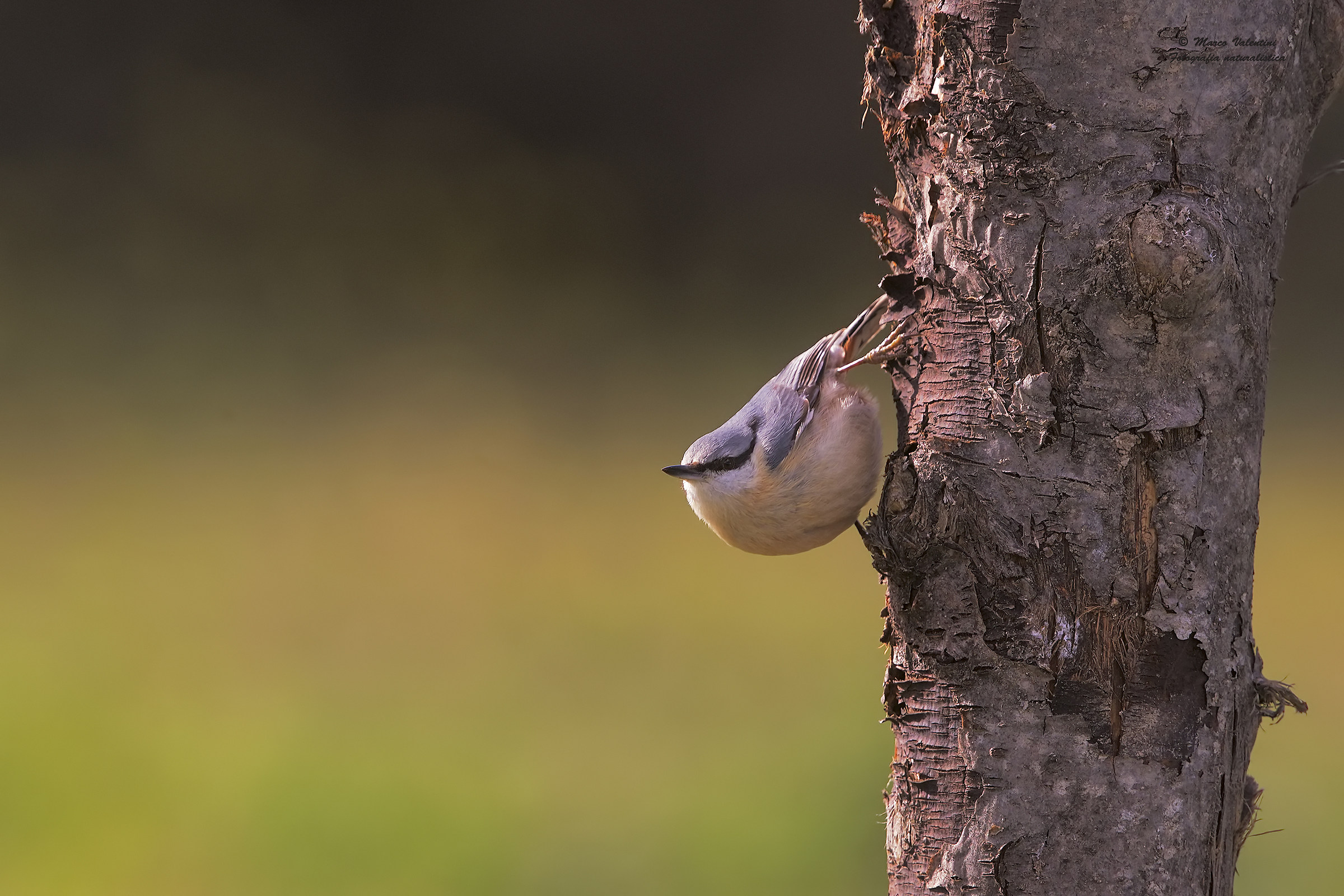 The place of the mason