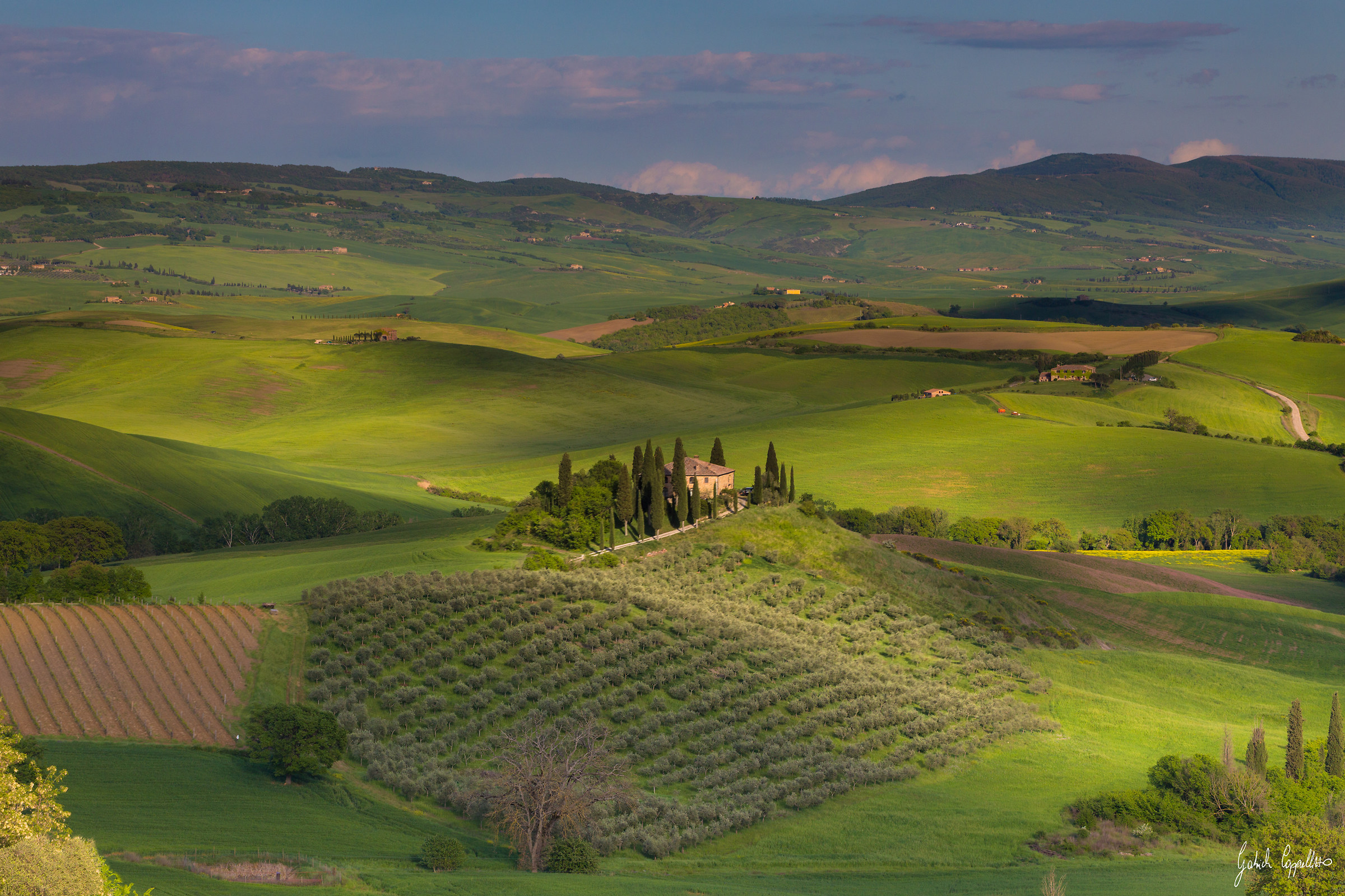 Oil painting on canvas