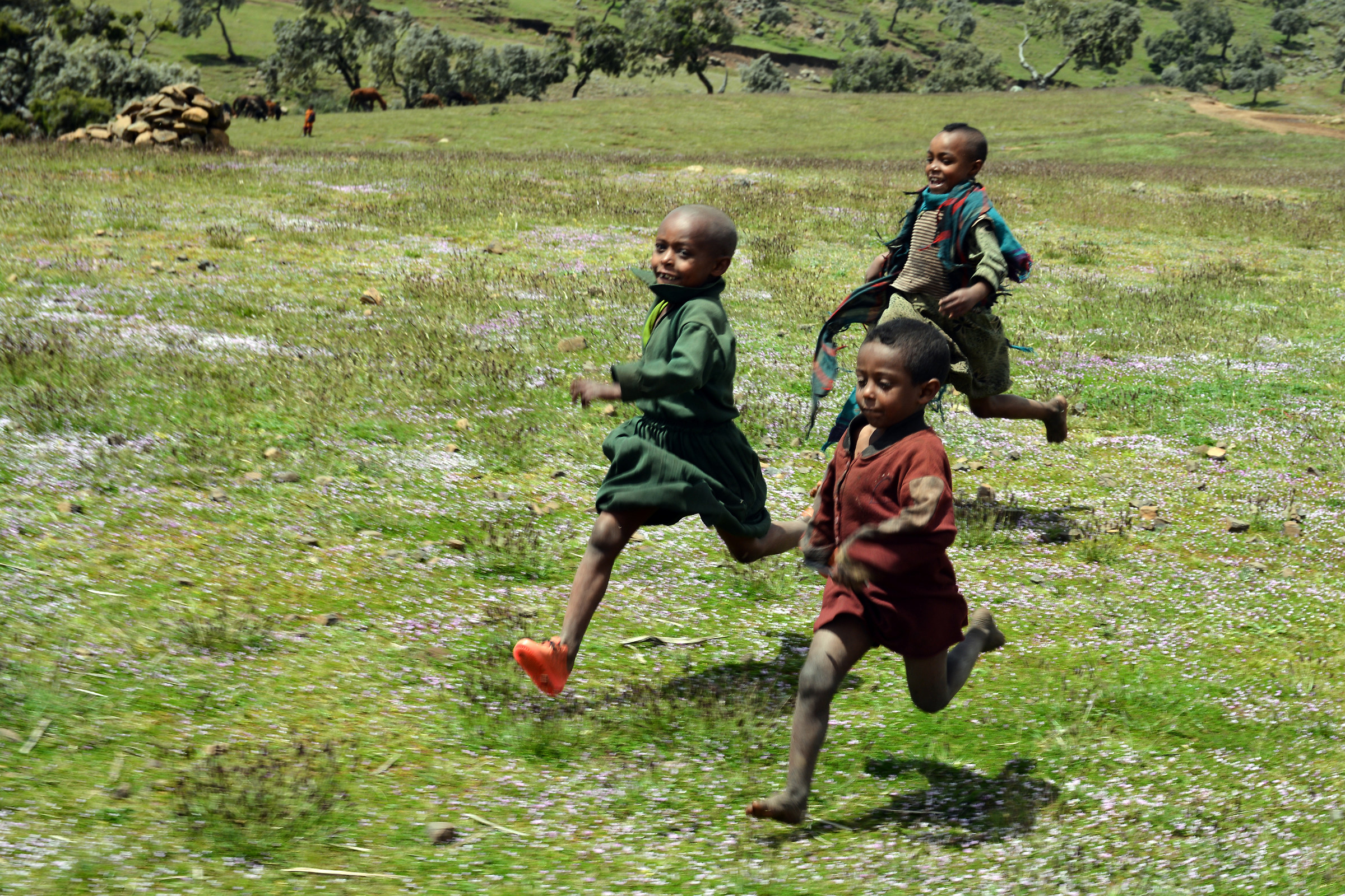 Corriamo: forse ci regala una penna