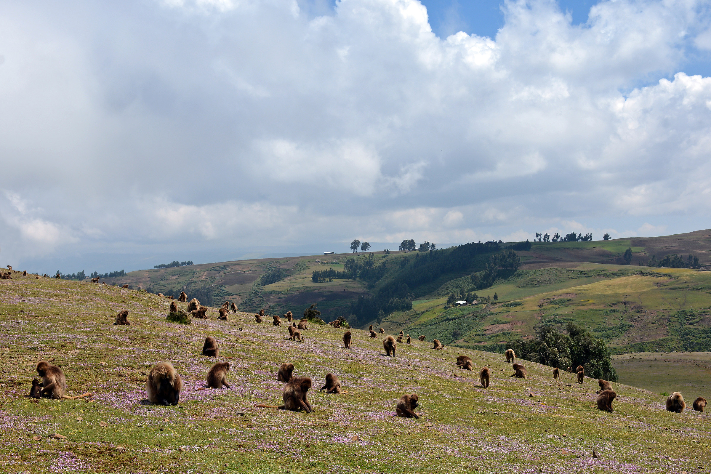 a pranzo nel Simien Mountains National Park Etiopia