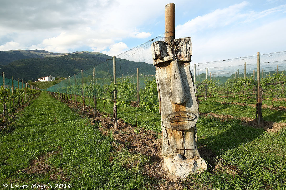 Il guardiano "bocca larga"