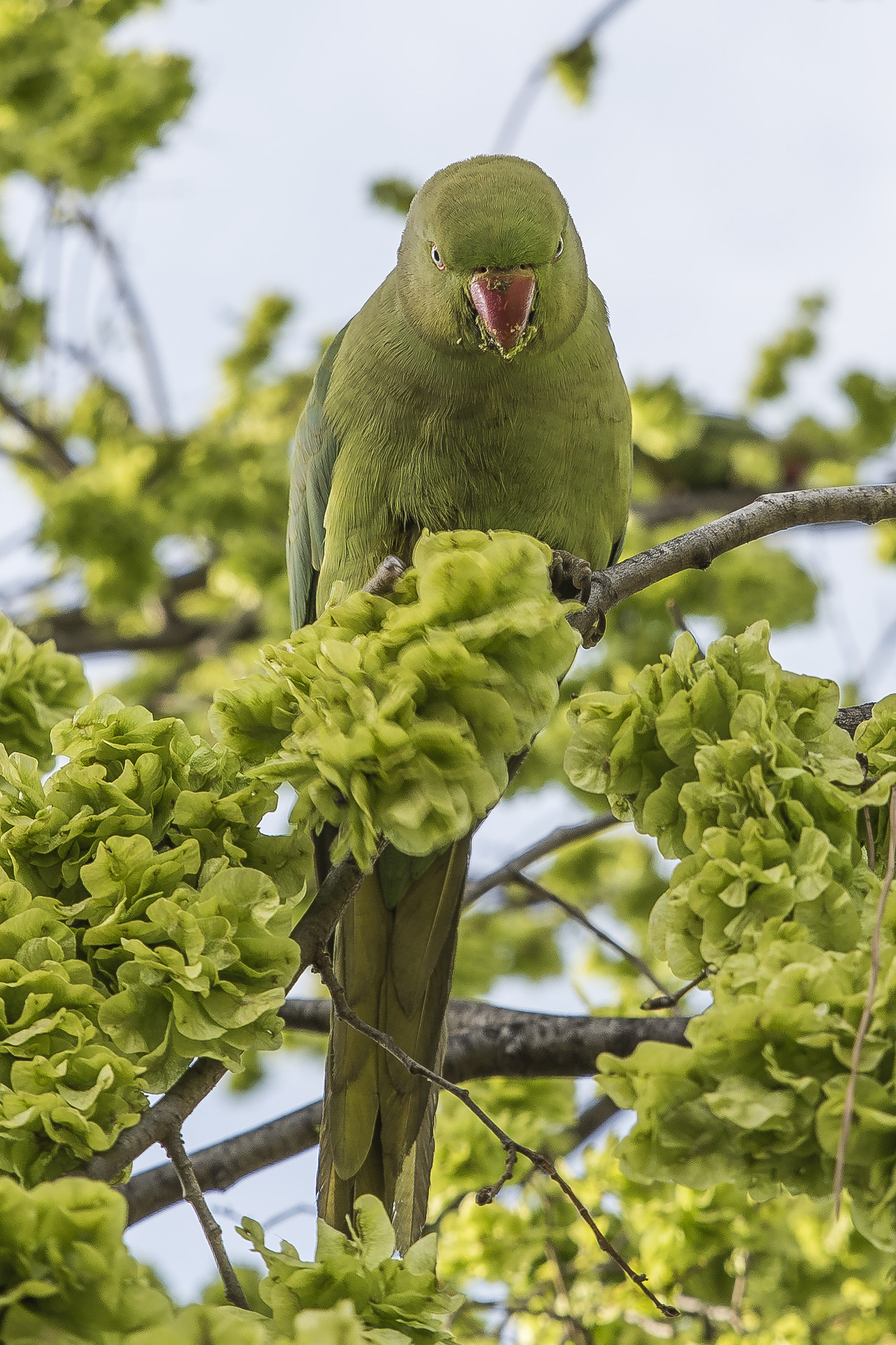 You got something to argue?