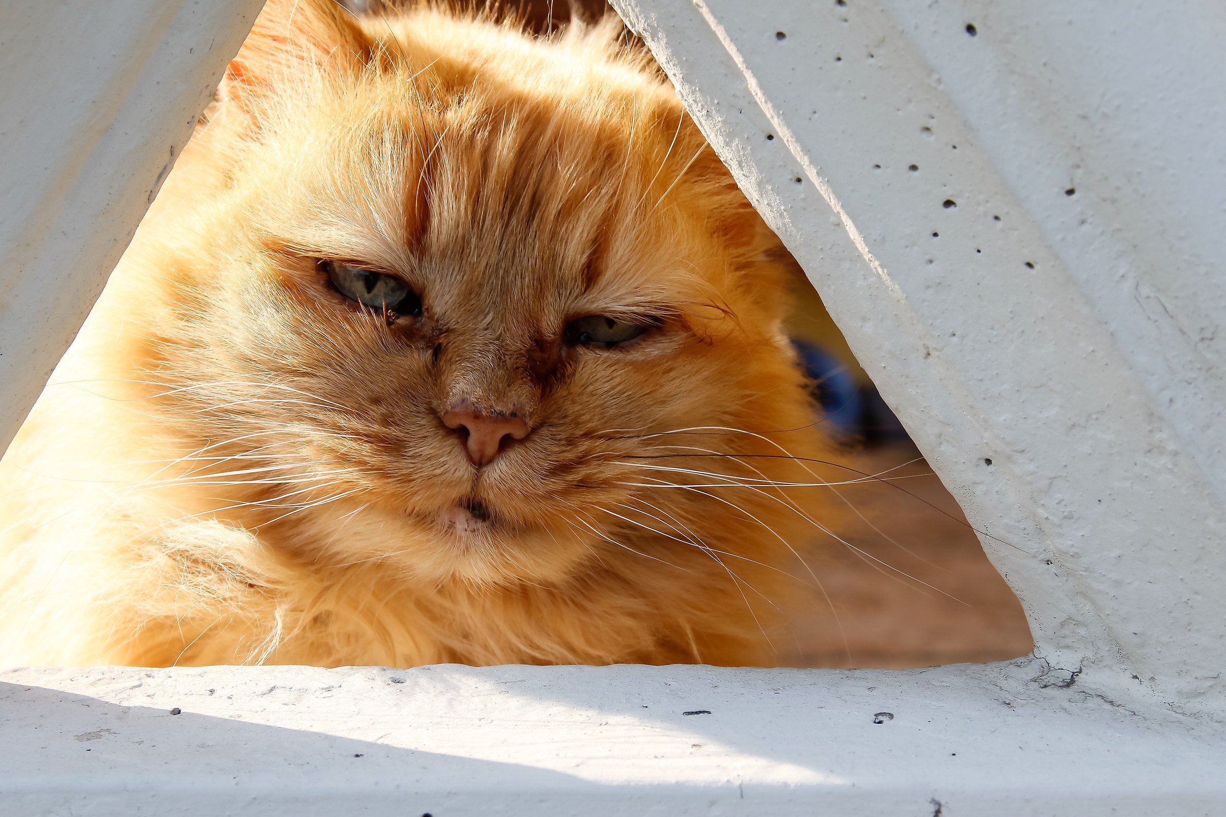 Embee? What do you want?