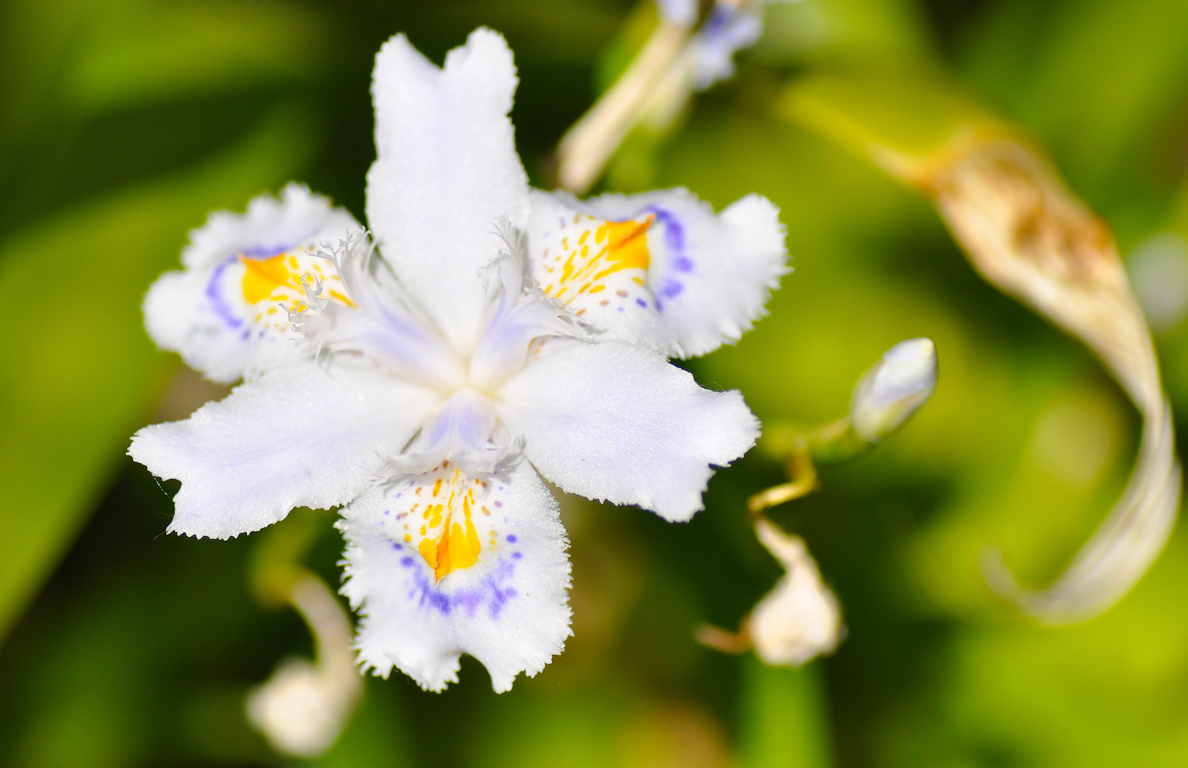 Giardino Botanico di REA