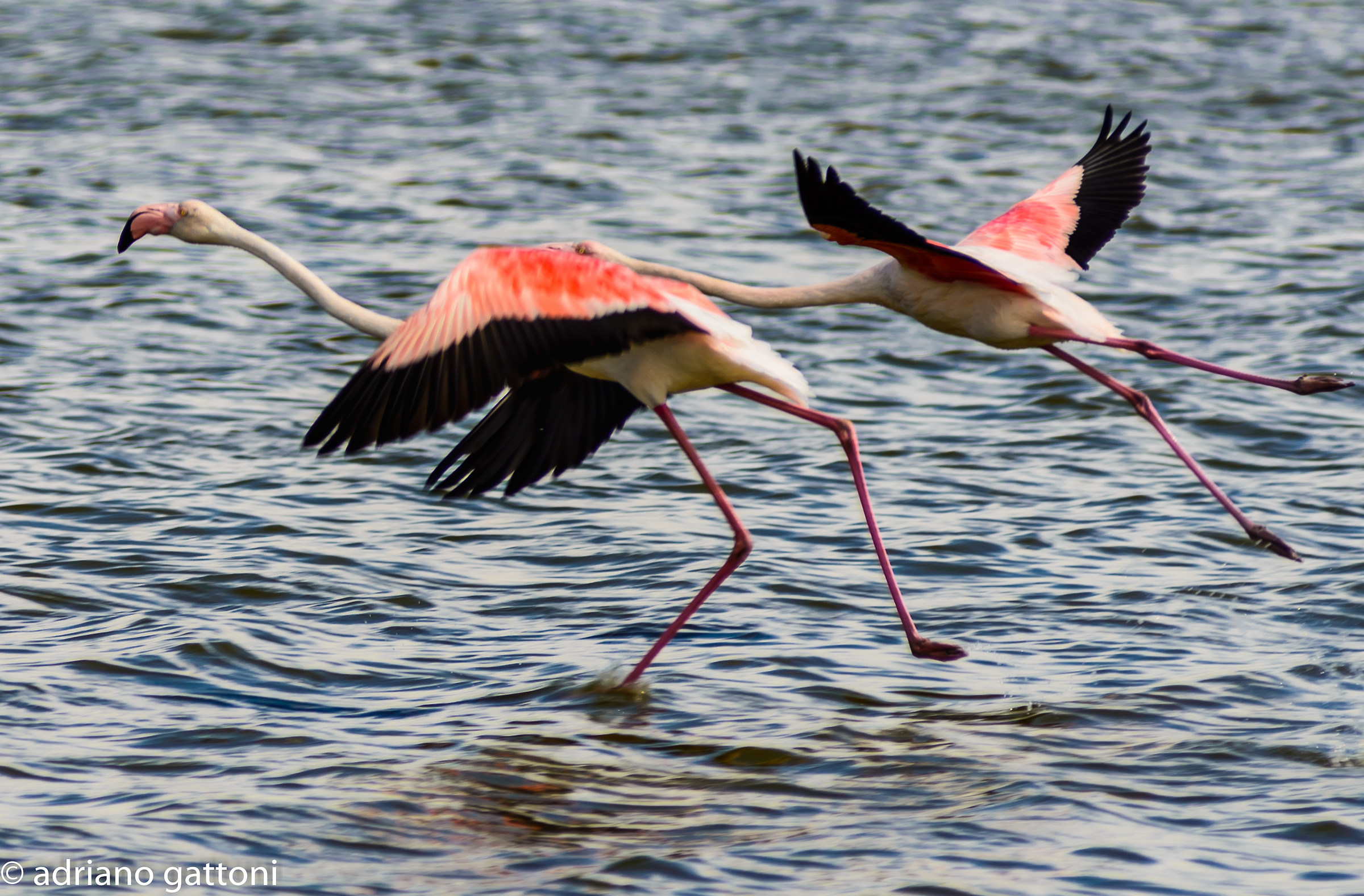 Uno, due e tre ... partenza