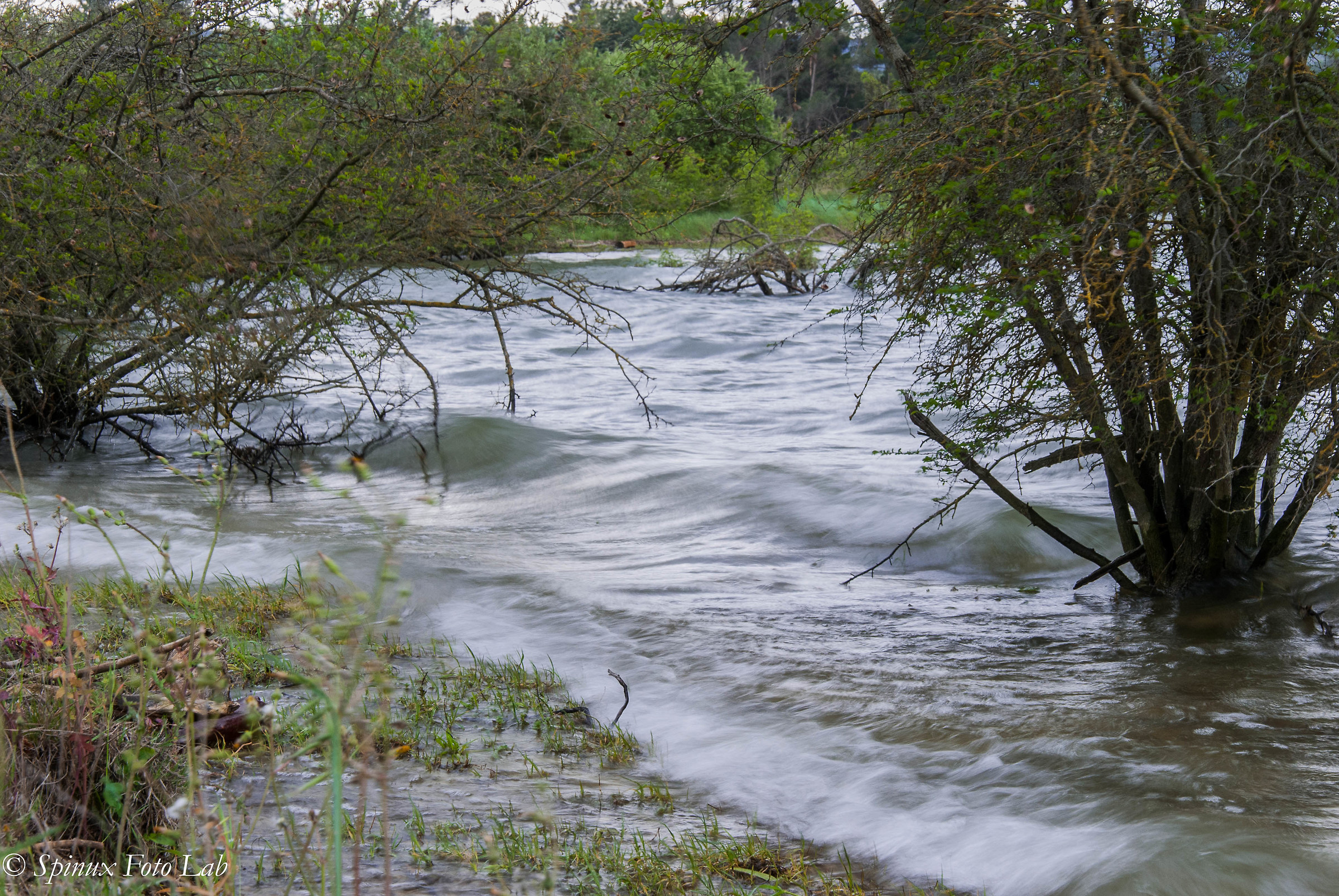 diga di San Giuliano 3