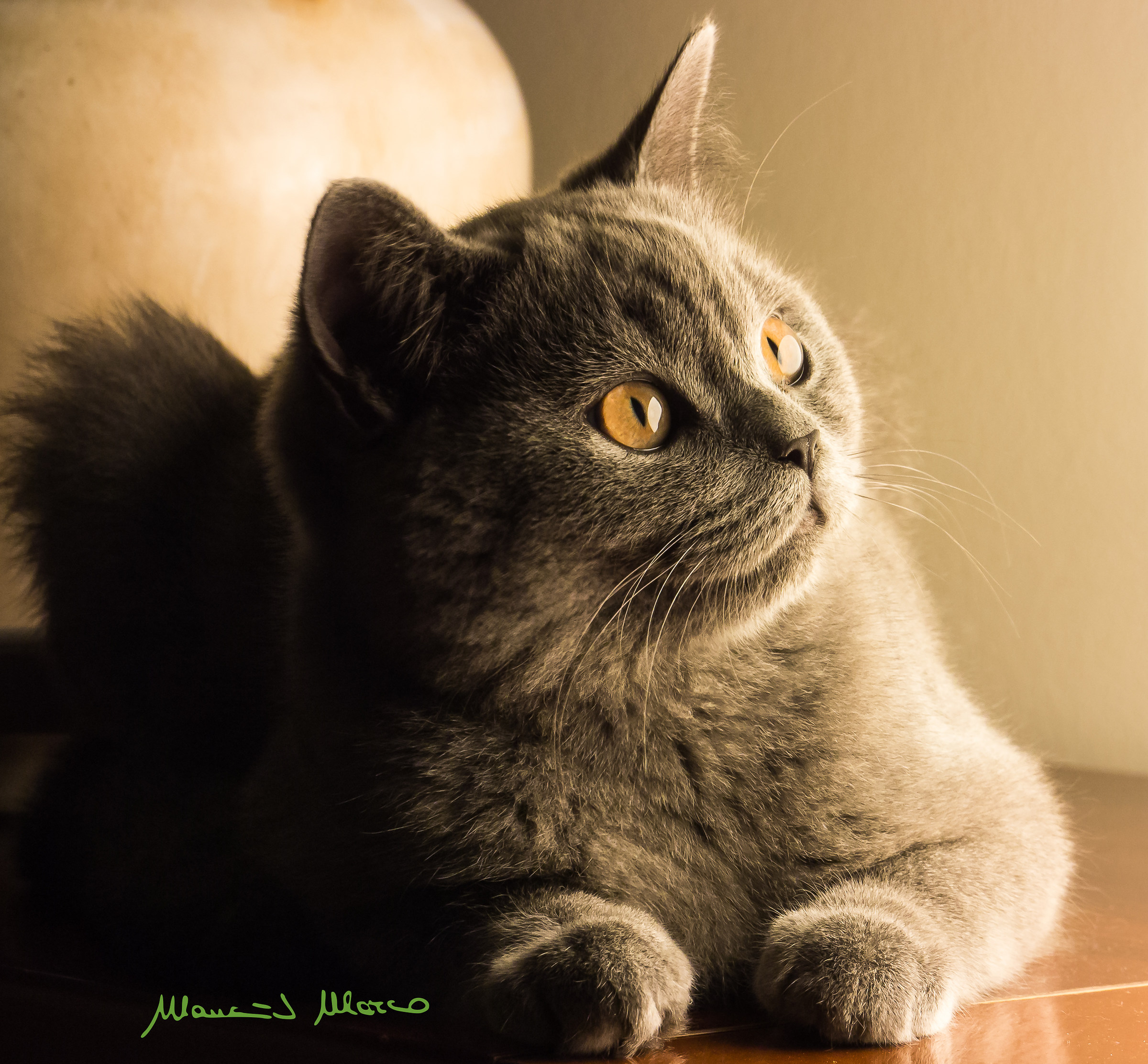 Clicks as well, I rest posing