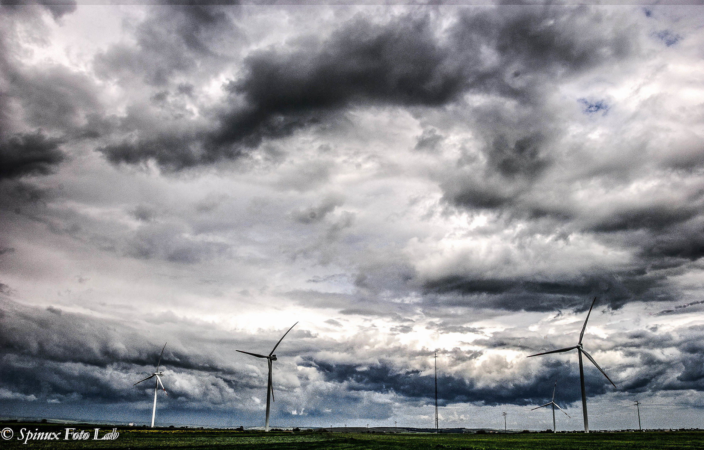 Le signore del vento