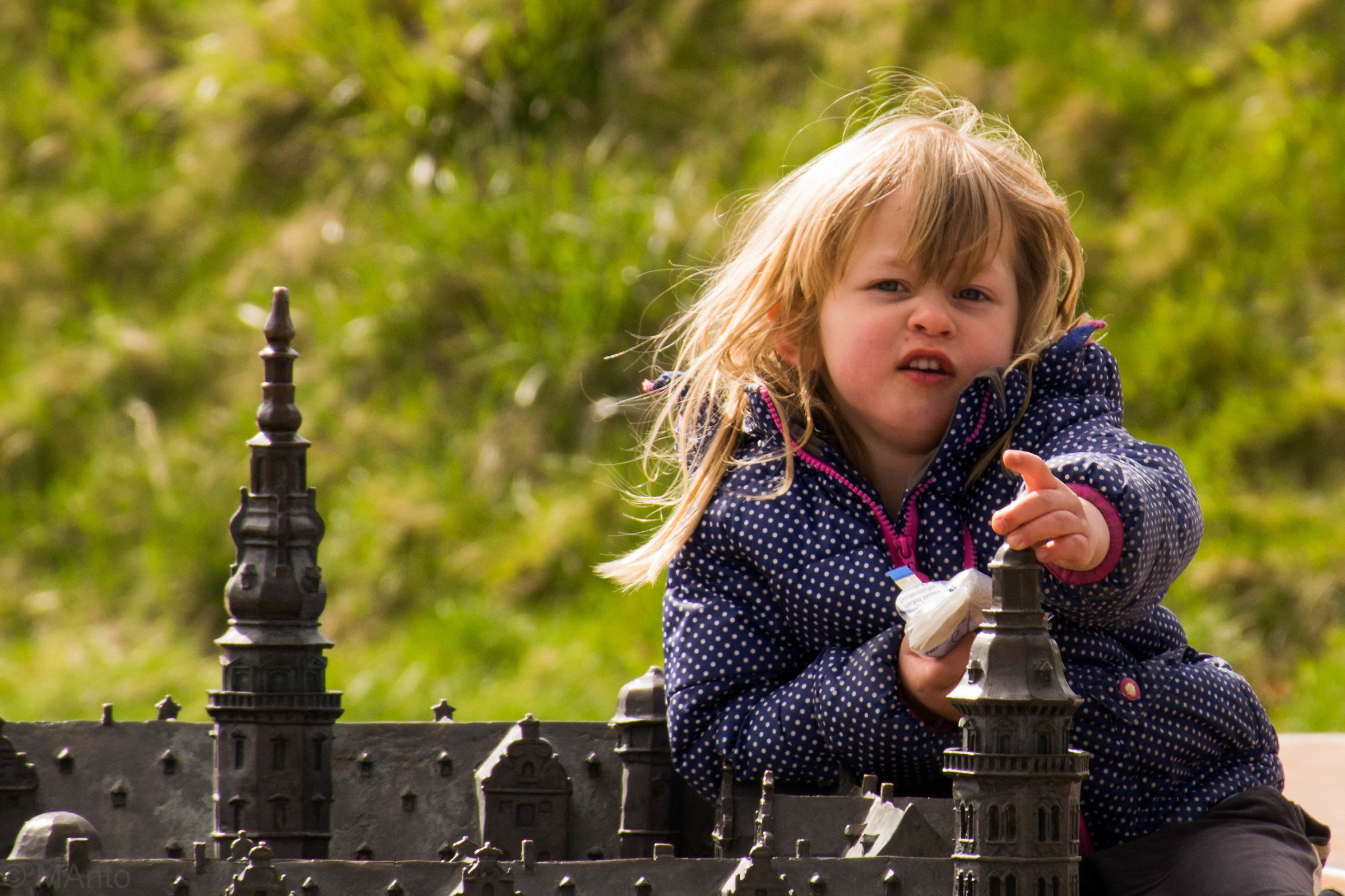 Principessa nel castello