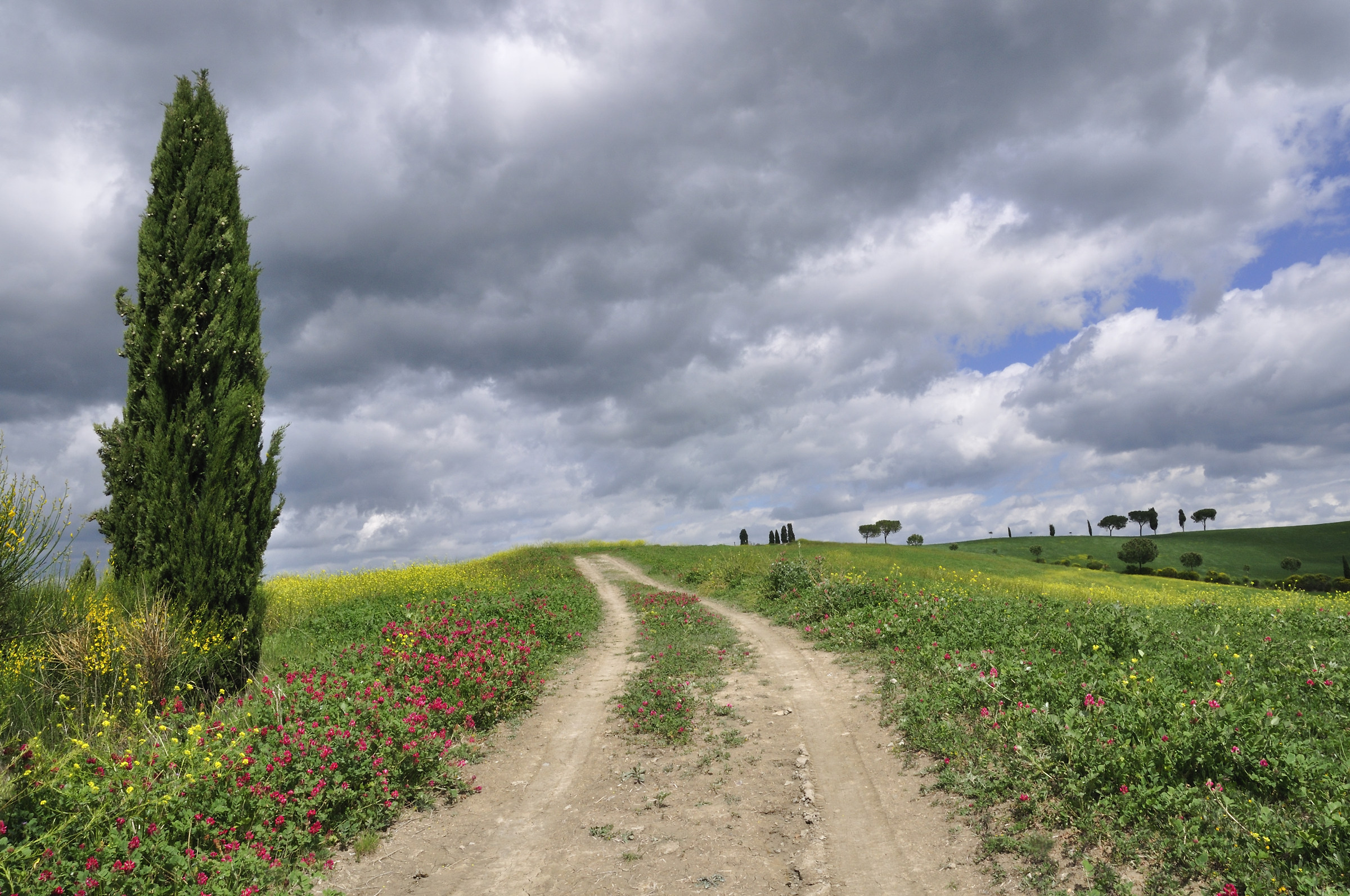 walking in Val d'Orcia