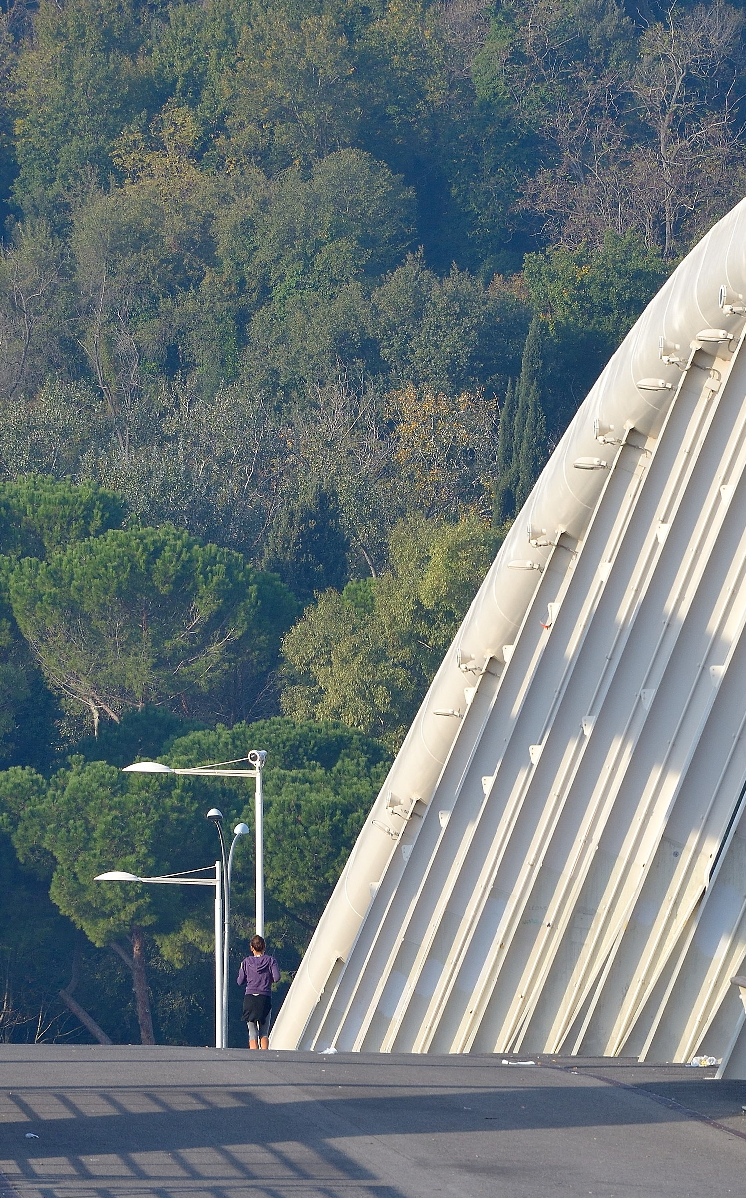 Flaminio-ponte della musica