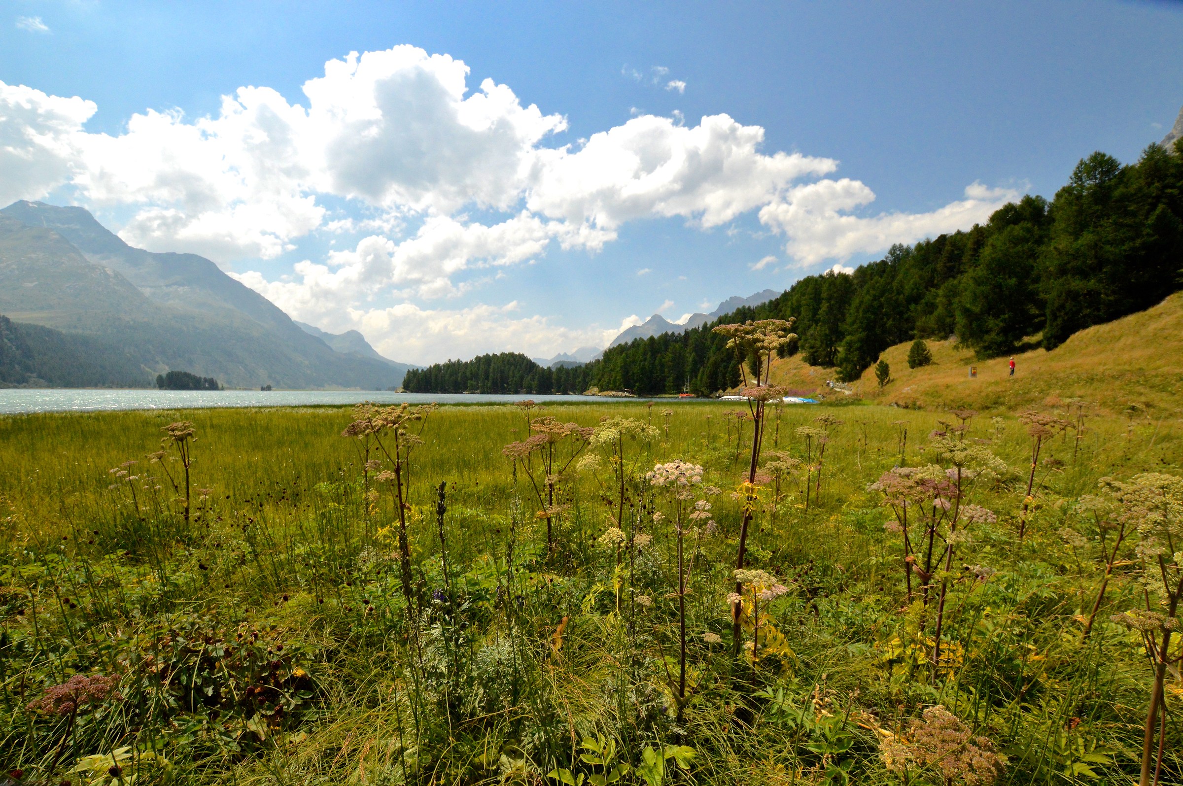 Lago di Sils