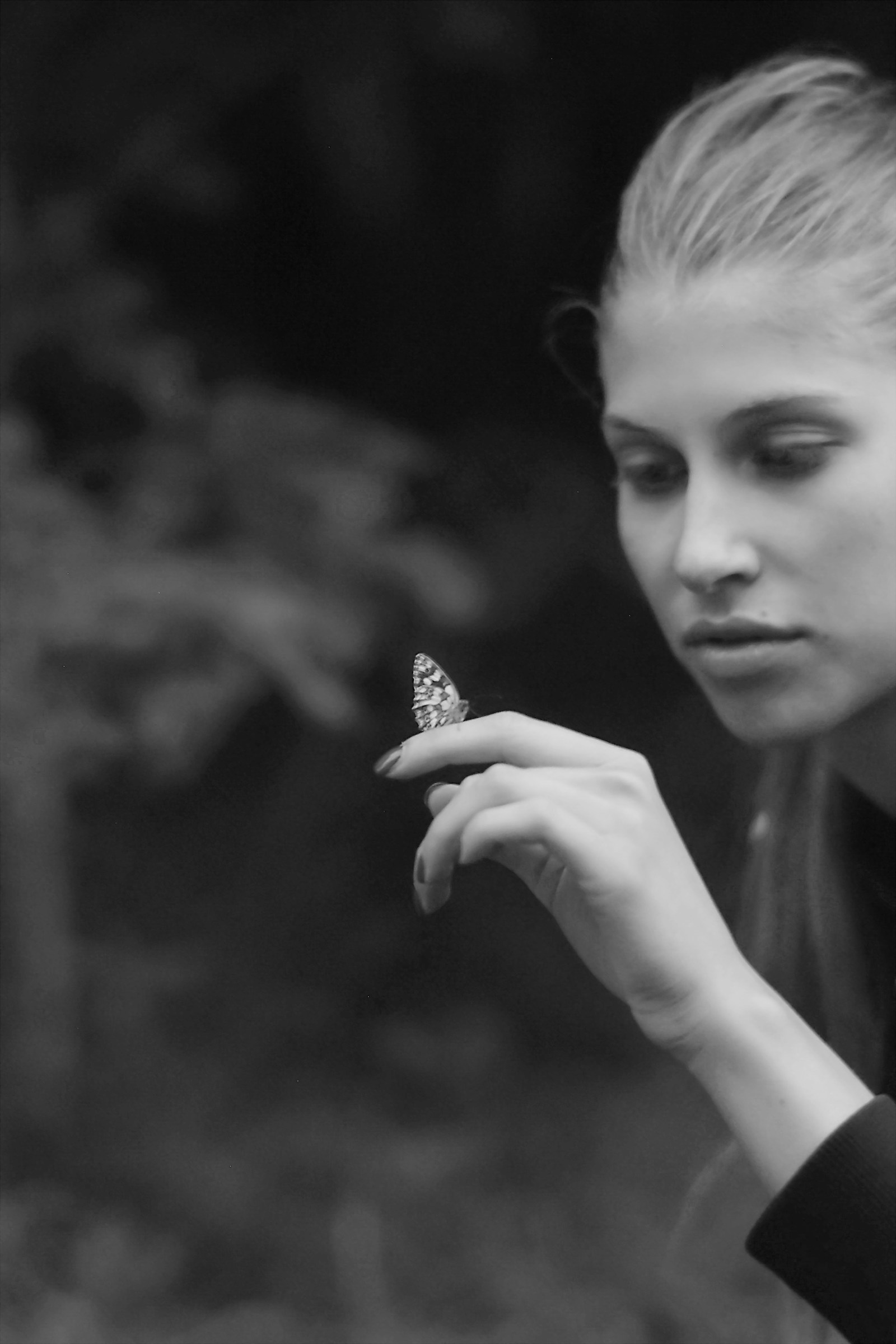 Il gioco con una farfalla