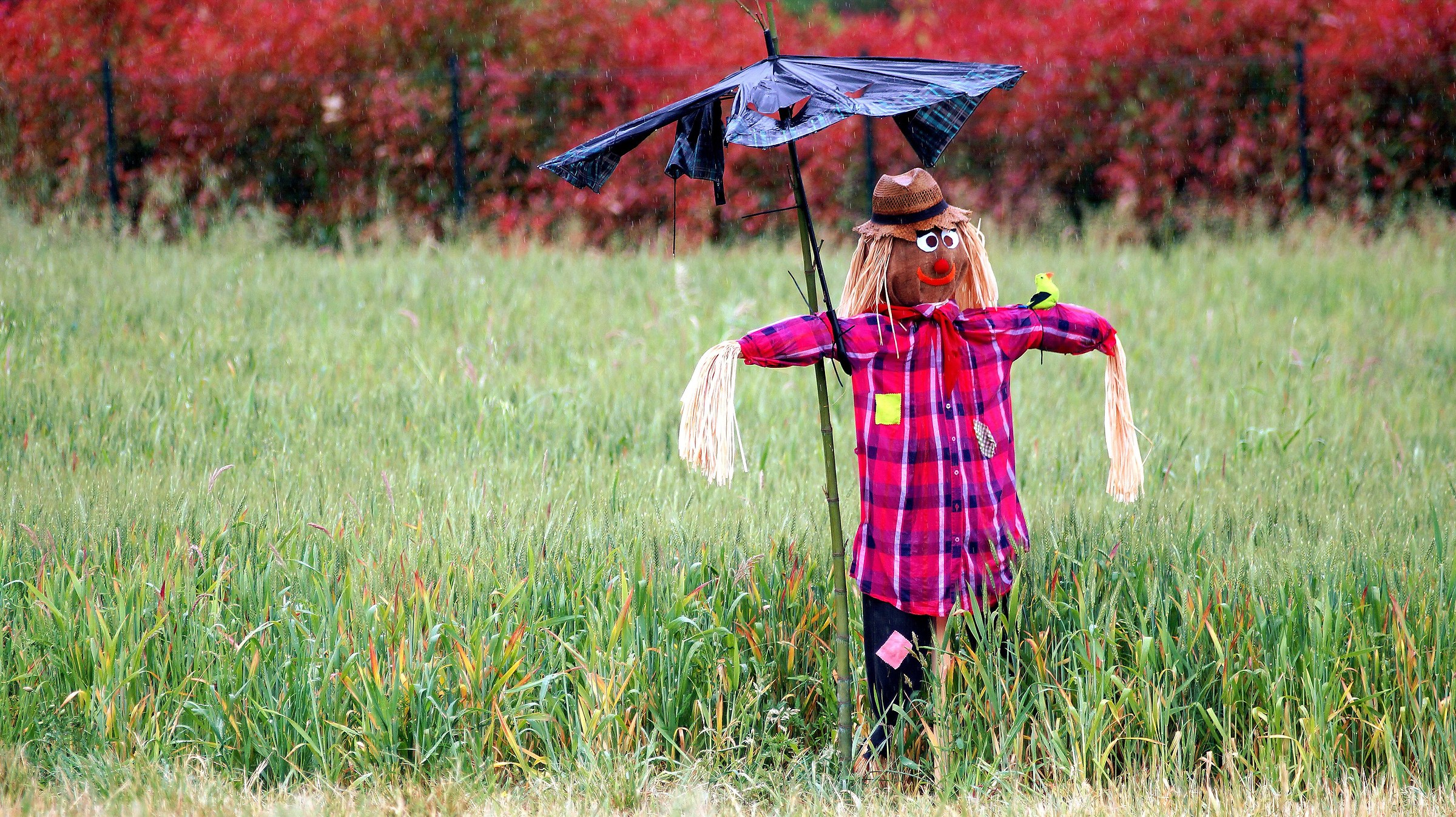 Vabbe' dai:ma proprio perche' piove!
