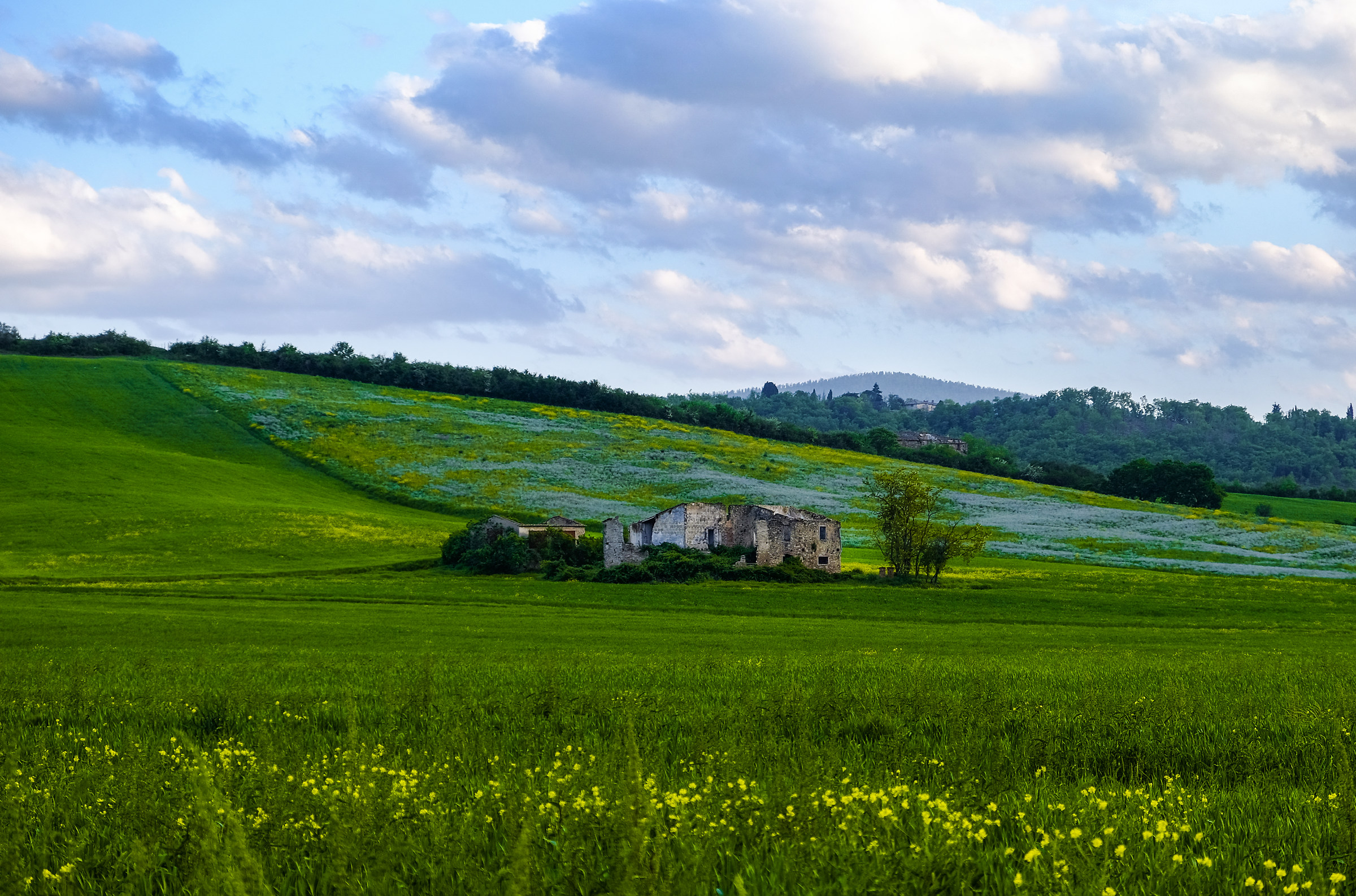 Il Chianti al crepuscolo