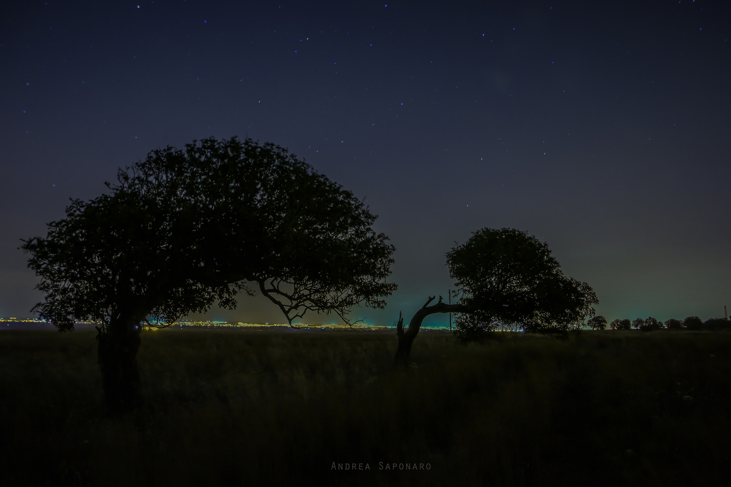 Campagna salentina di notte