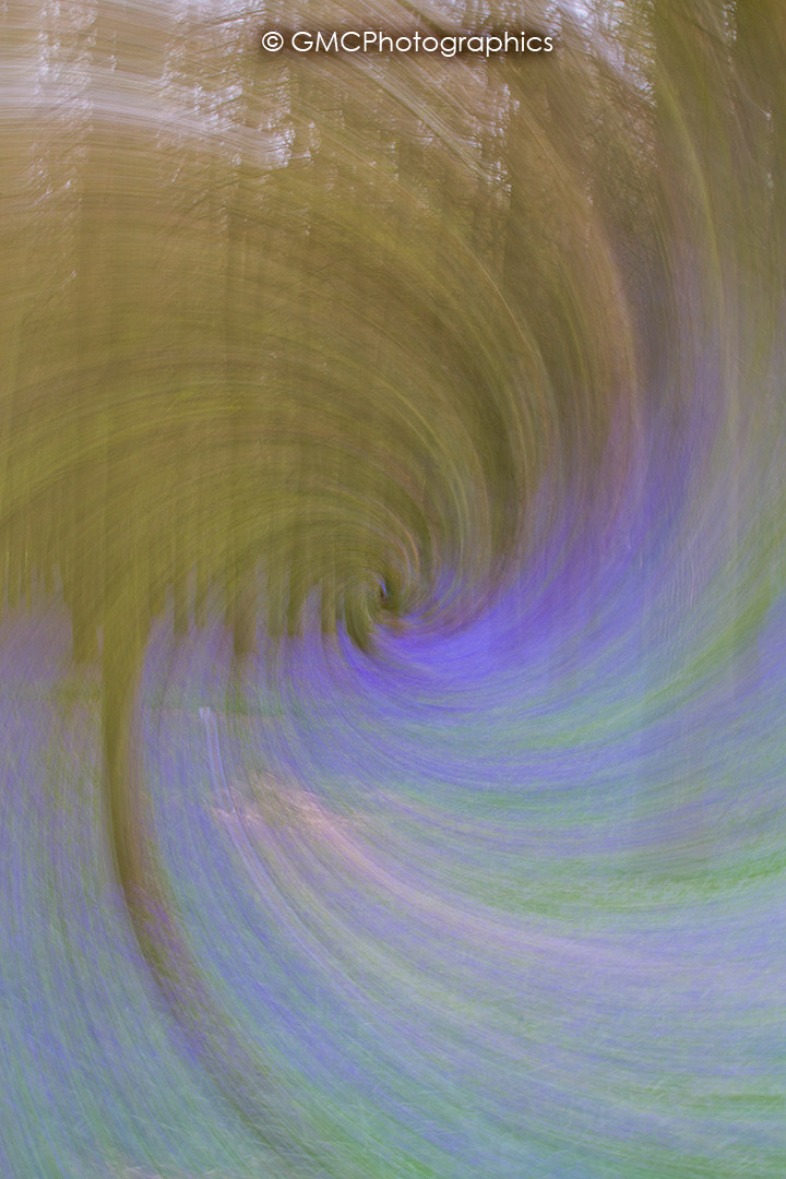 Bluebell Swirl