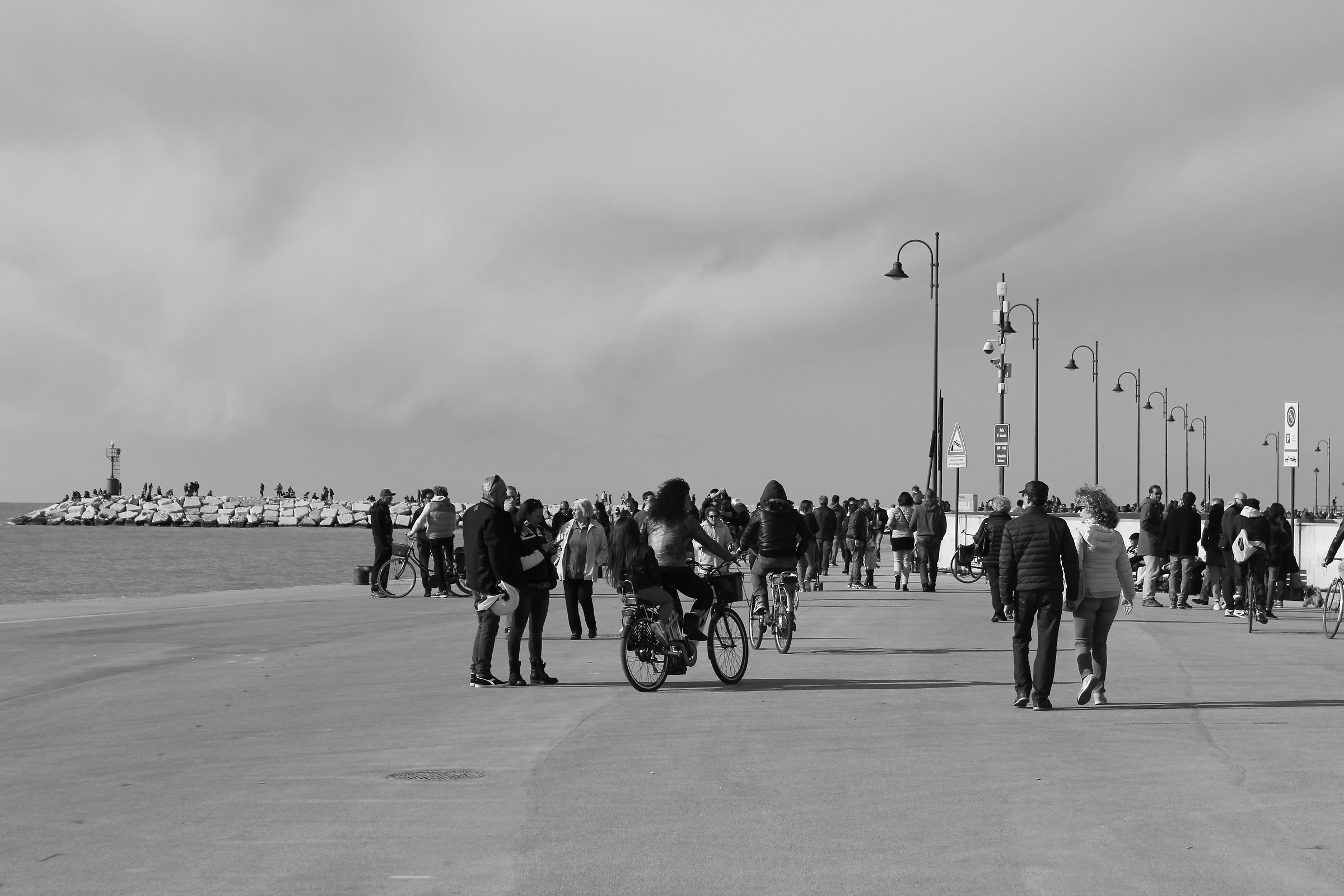 the harbor with many people