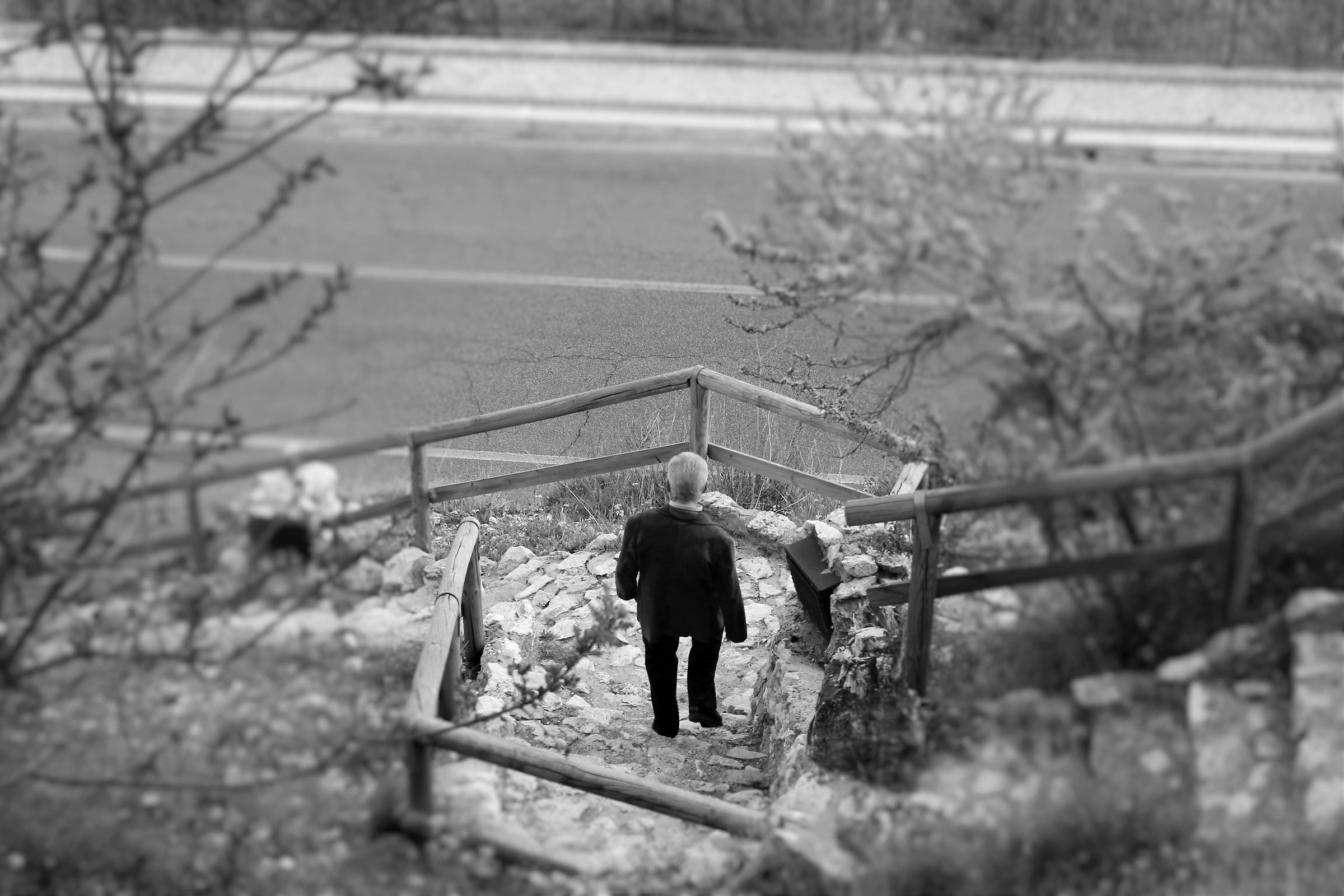 la strada della vita